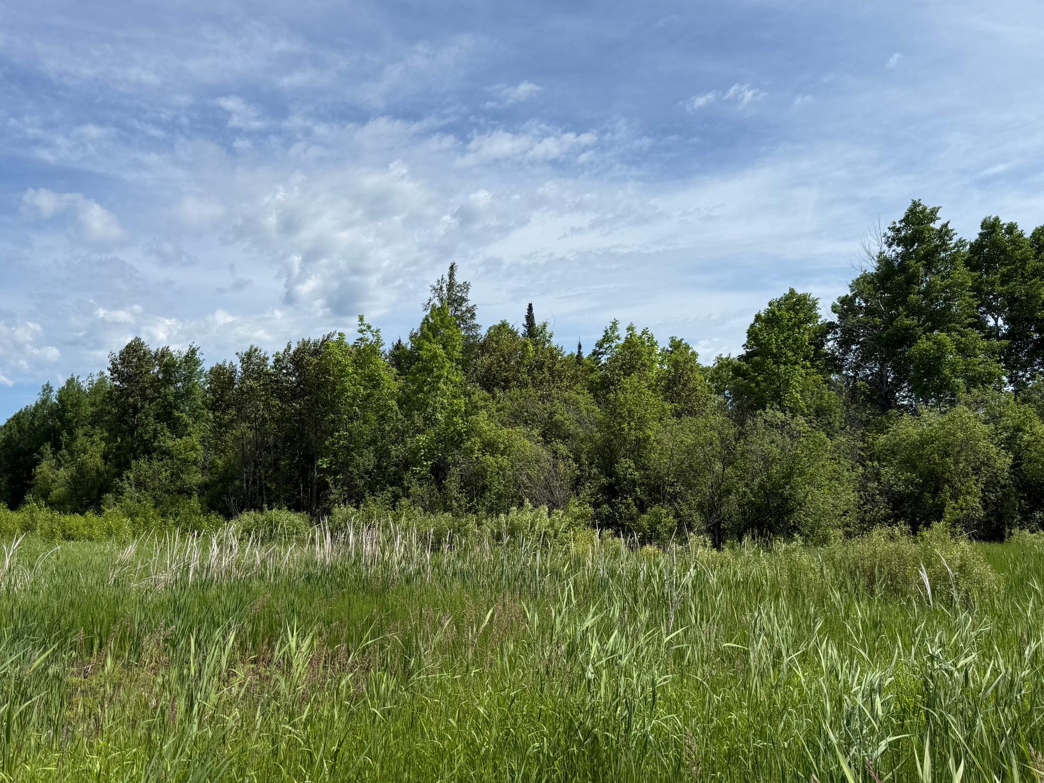 Lot 3 Parameter Road Property Photo 7