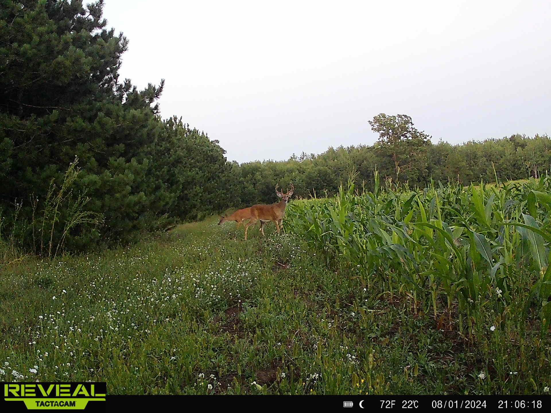 16921 320th Street Property Photo 8