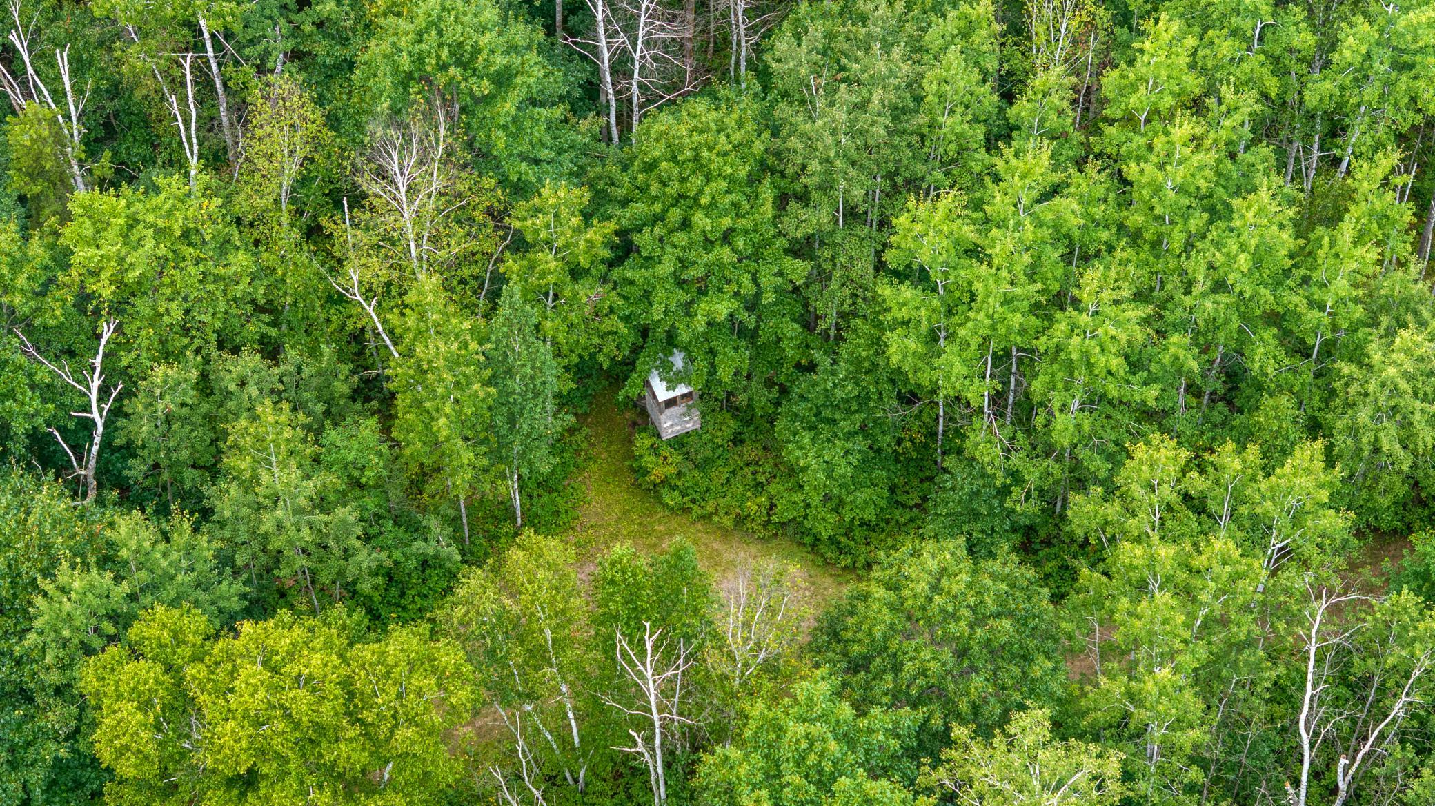16921 320th Street Property Photo 9