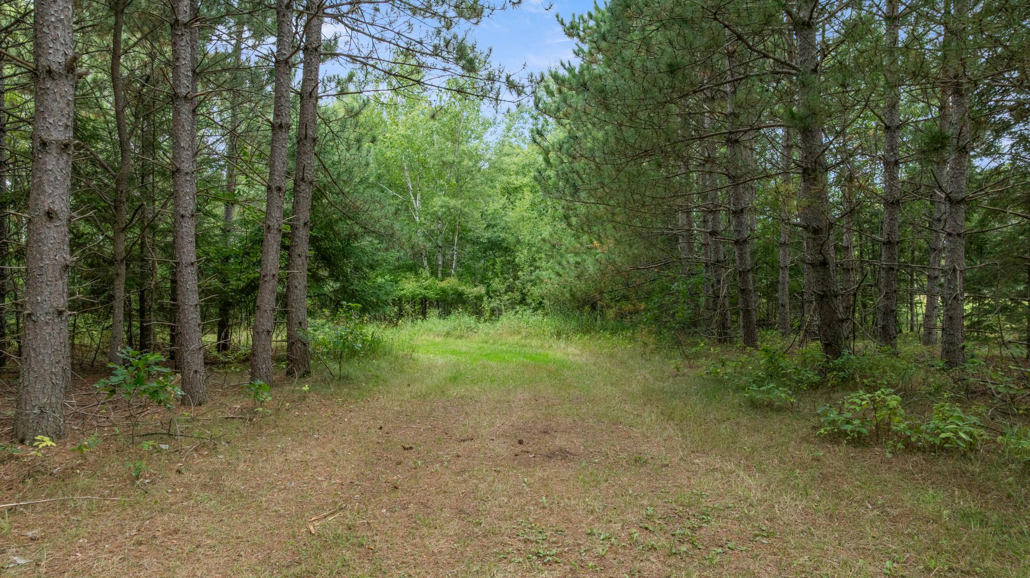 16921 320th Street Property Photo 27