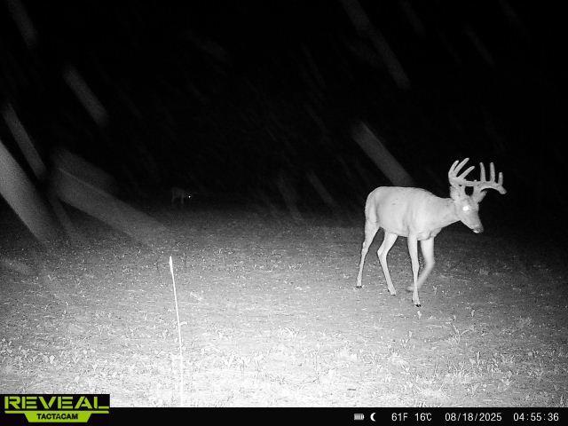 16921 320th Street Property Photo 29