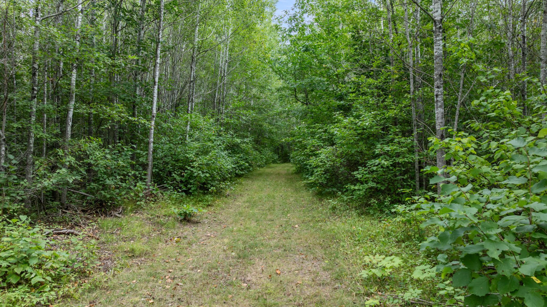 16921 320th Street Property Photo 31