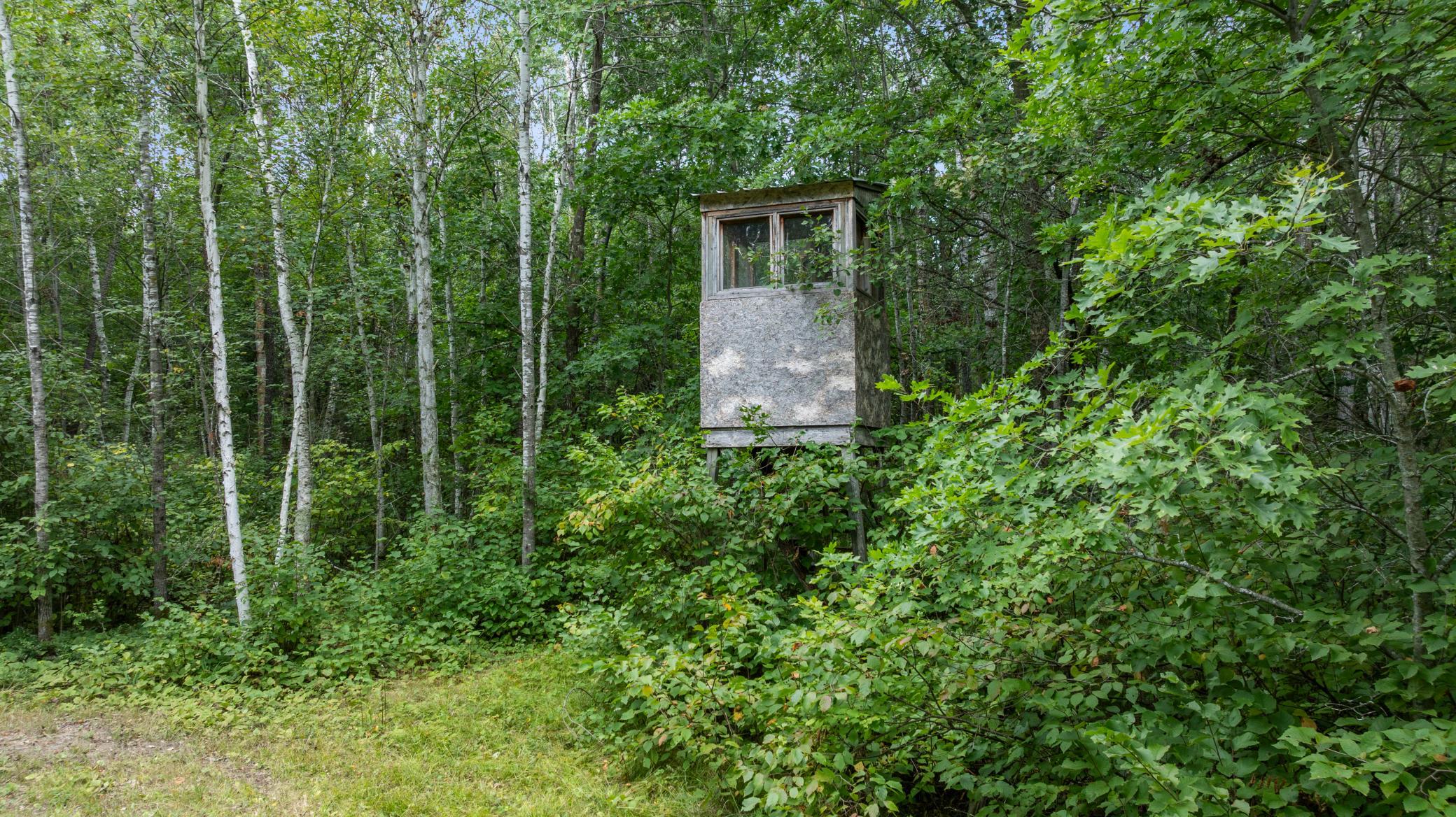16921 320th Street Property Photo 38