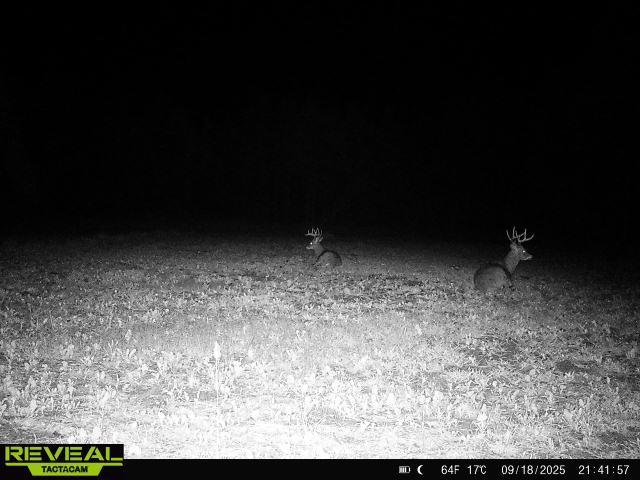 16921 320th Street Property Photo 44