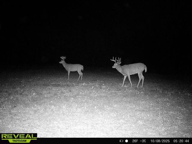 16921 320th Street Property Photo 49