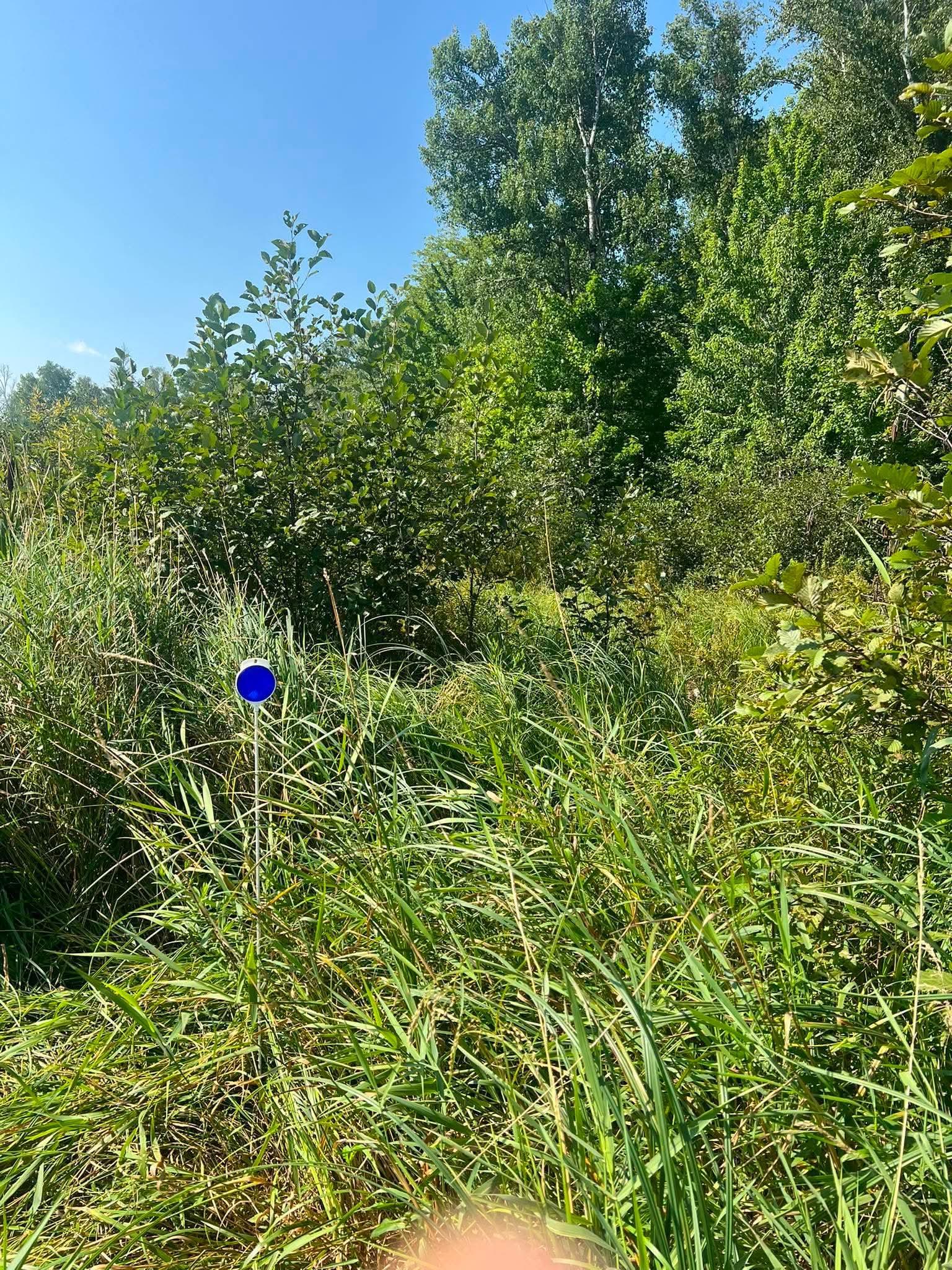 Tbd Happy Tree Lane Property Photo 4