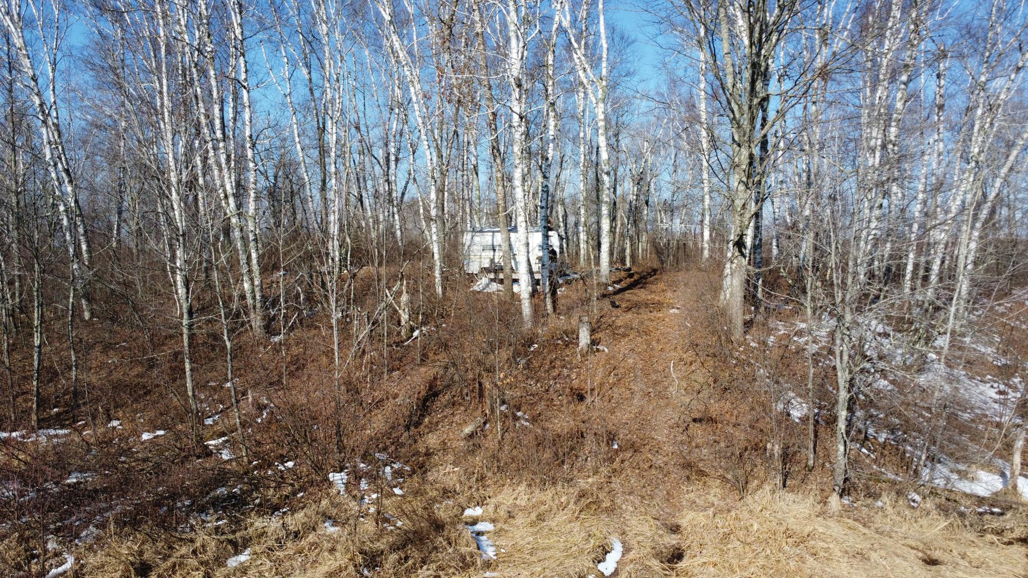 Tbd Happy Tree Lane Property Photo 6