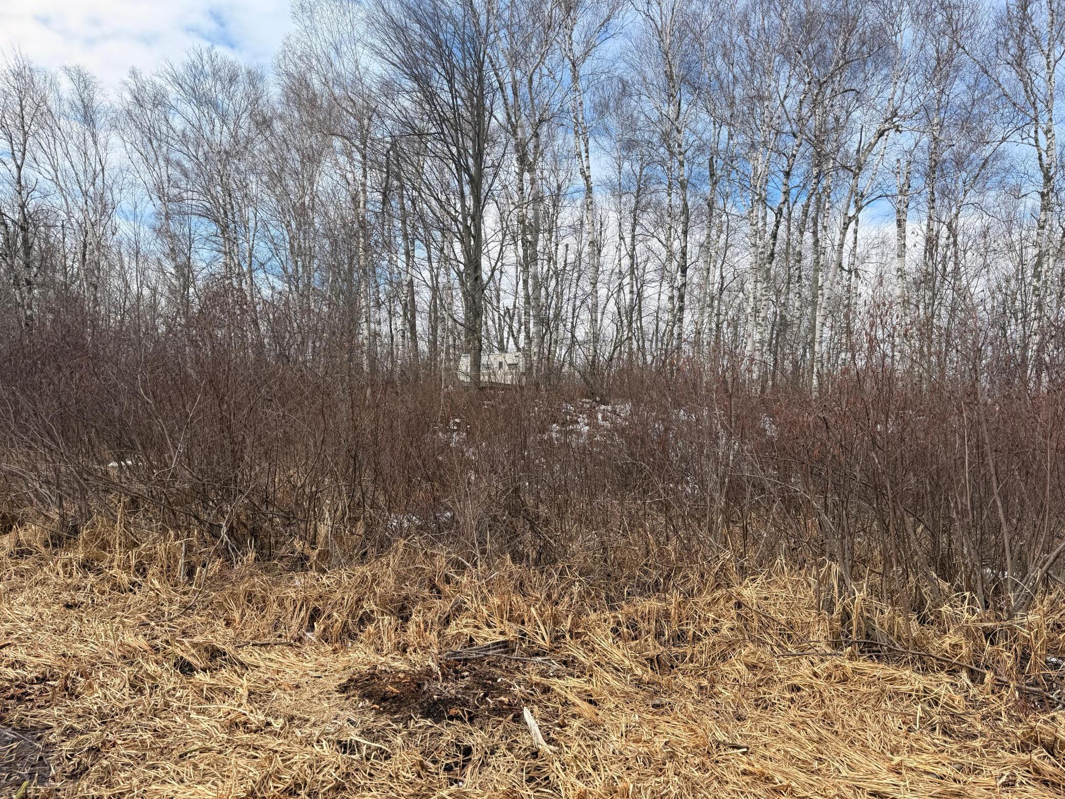Tbd Happy Tree Lane Property Photo 7