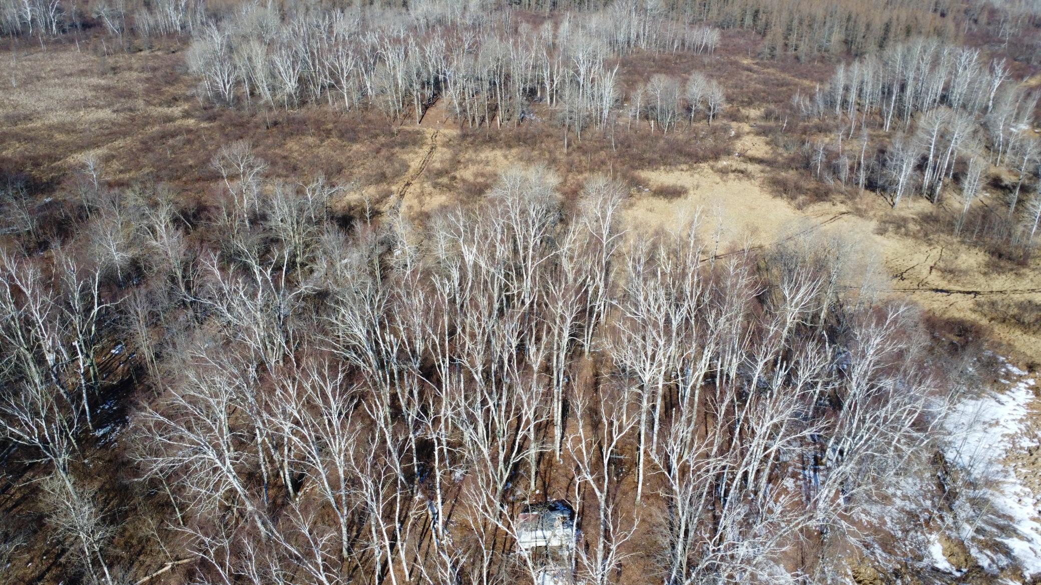 Tbd Happy Tree Lane Property Photo 8