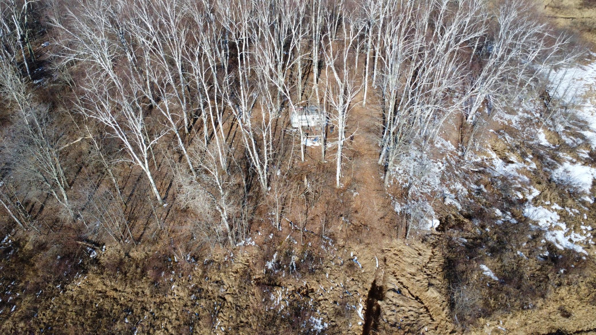 Tbd Happy Tree Lane Property Photo 9