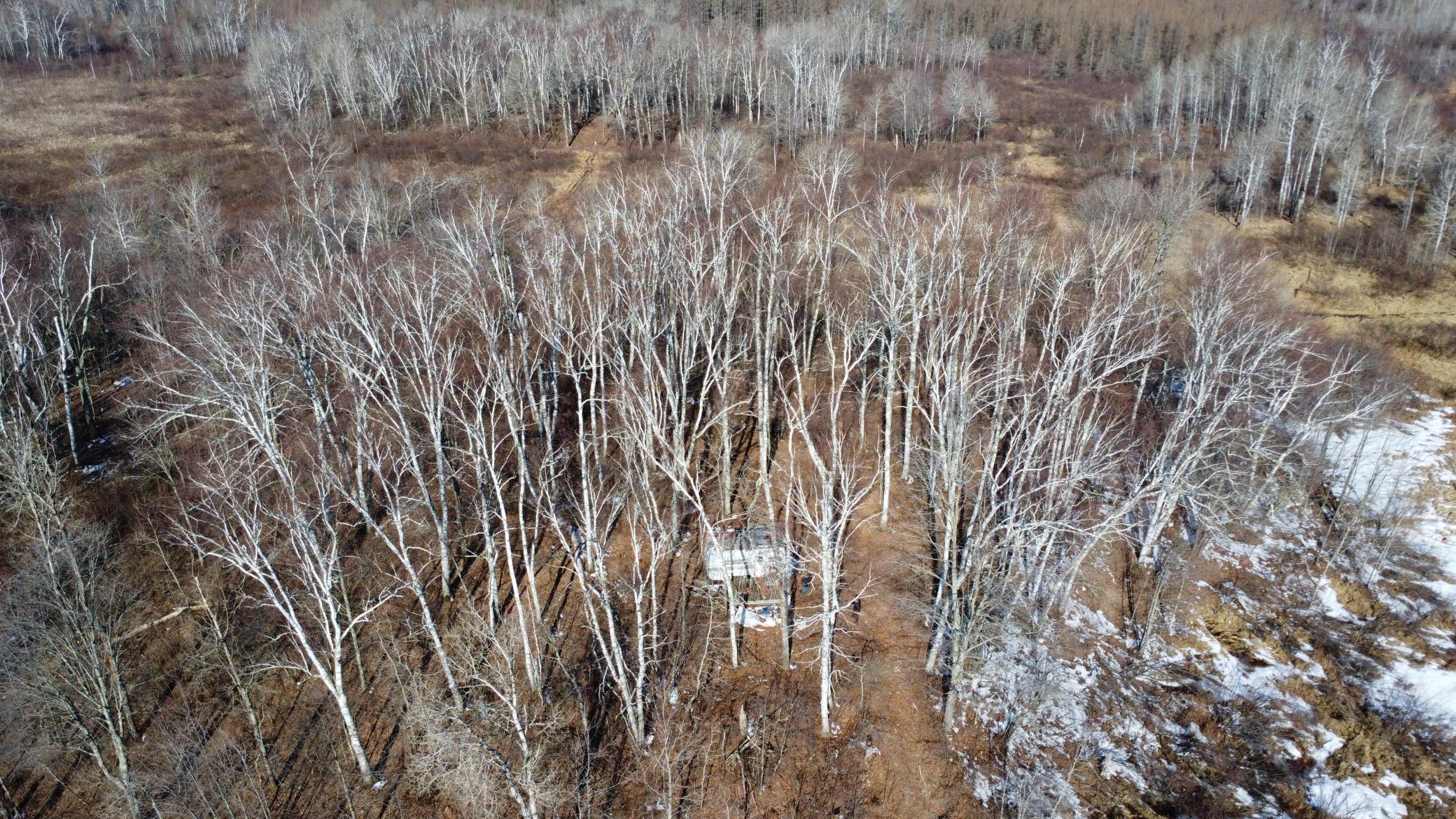 Tbd Happy Tree Lane Property Photo 10