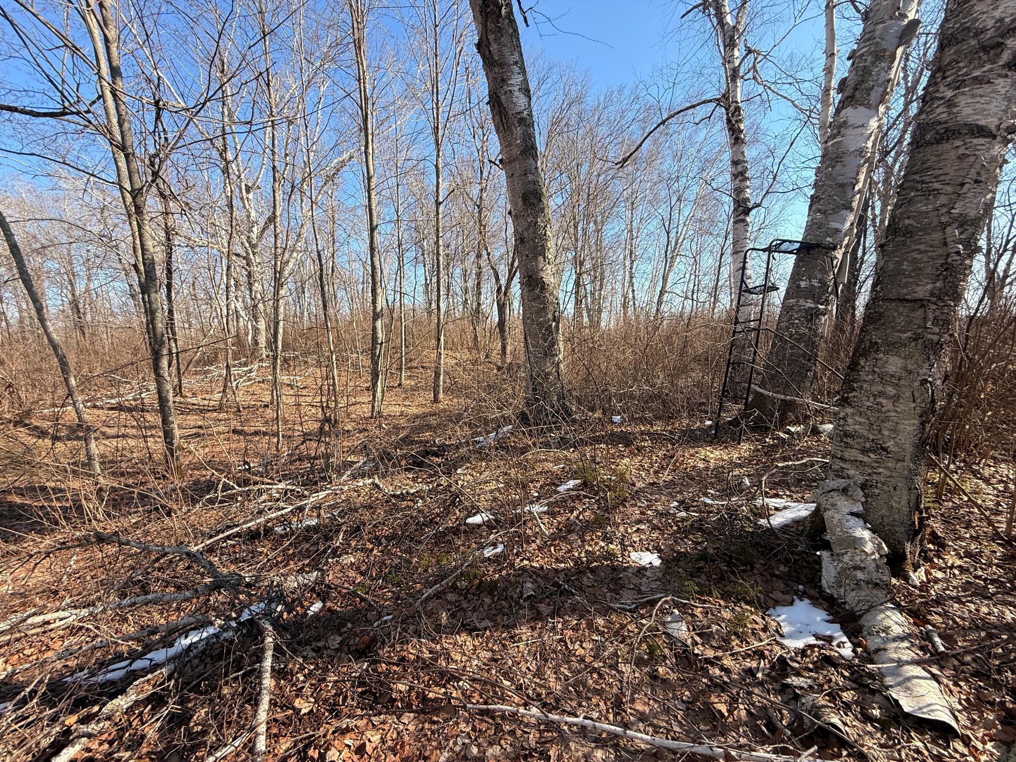 Tbd Happy Tree Lane Property Photo 11
