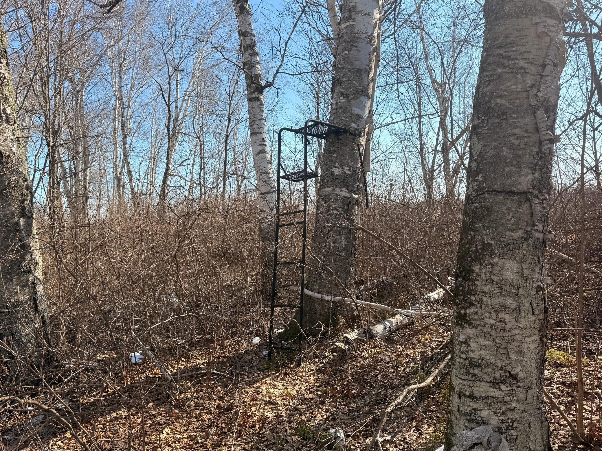 Tbd Happy Tree Lane Property Photo 12
