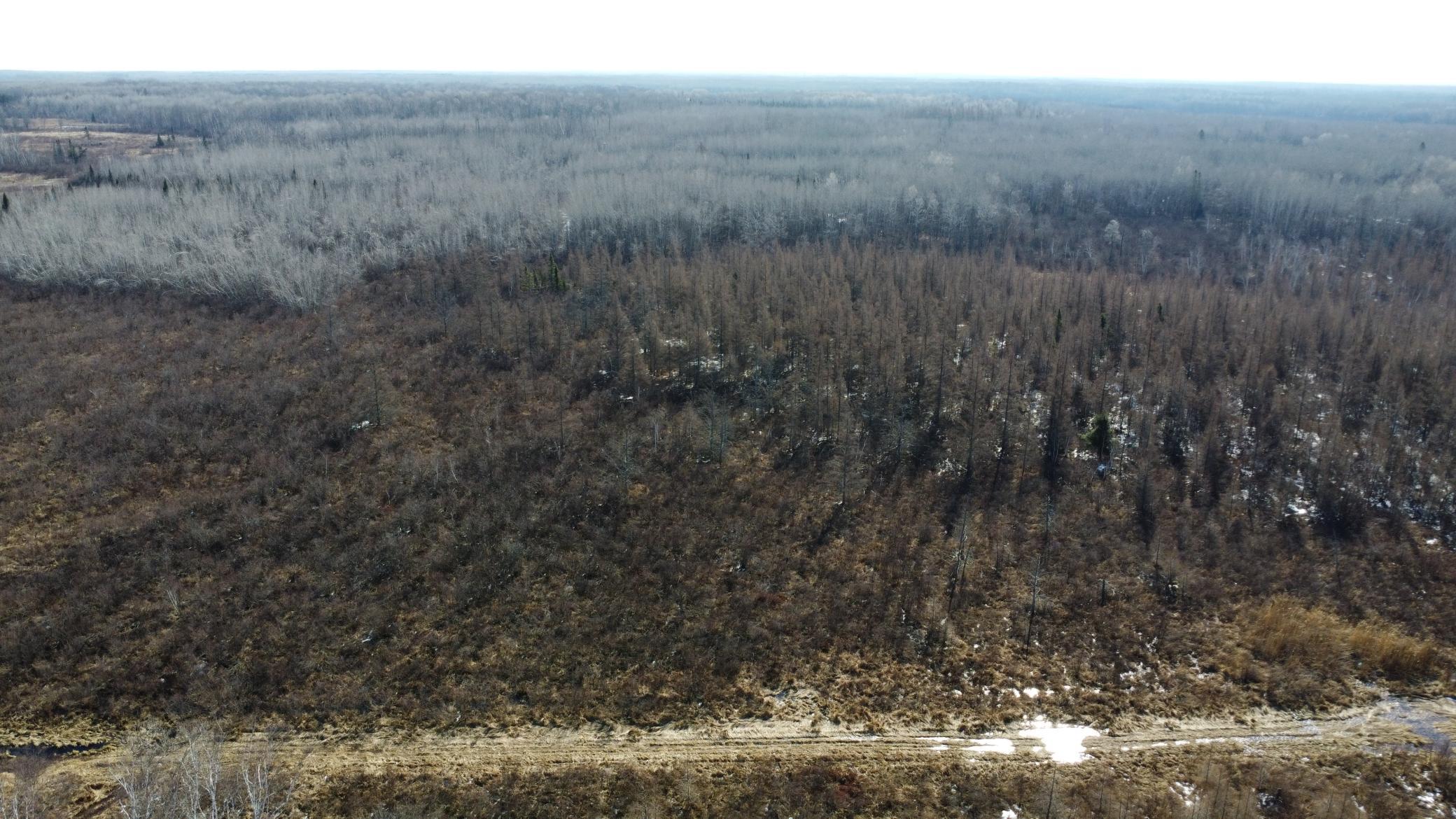 Tbd Happy Tree Lane Property Photo 15