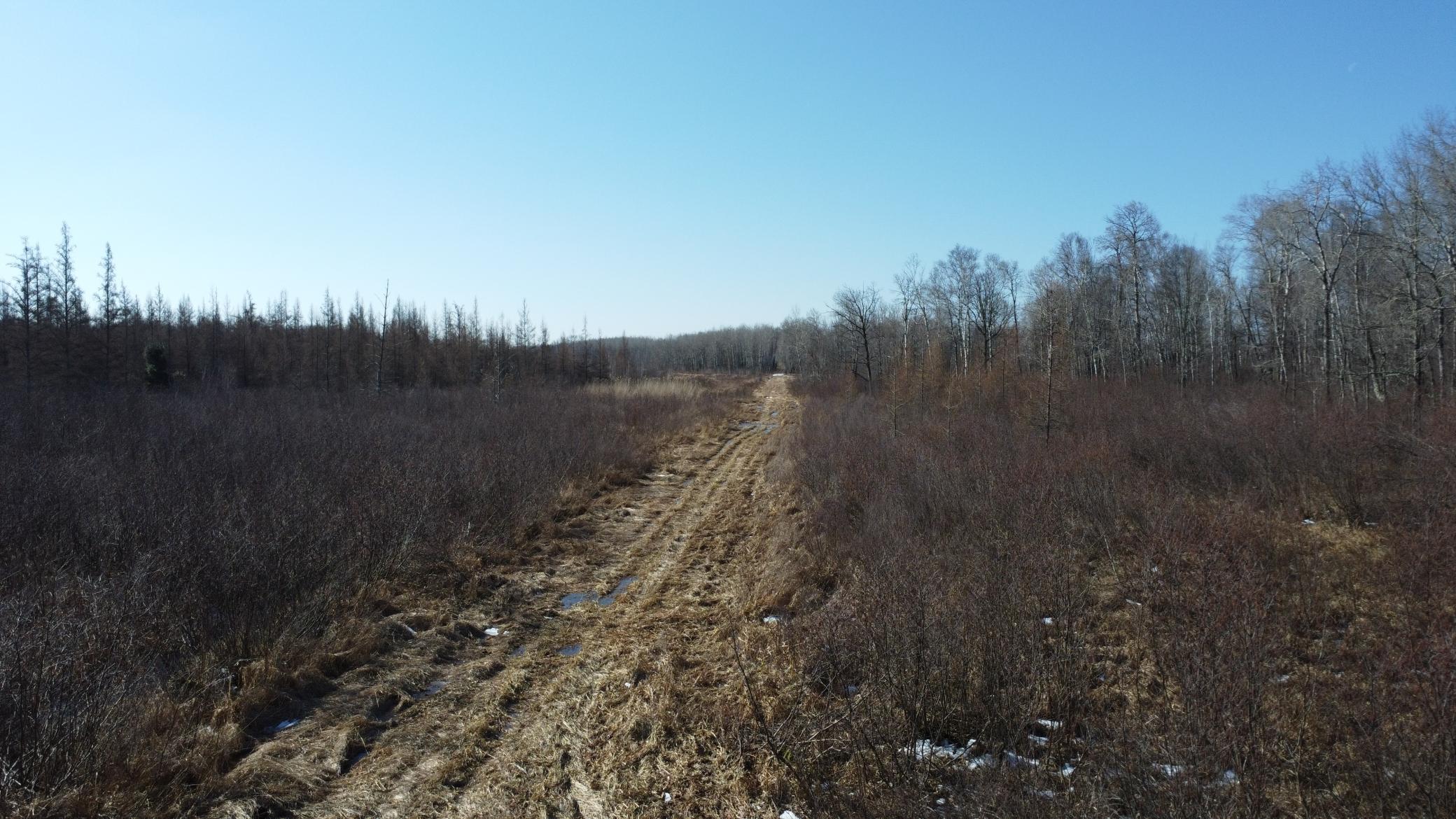 Tbd Happy Tree Lane Property Photo 16
