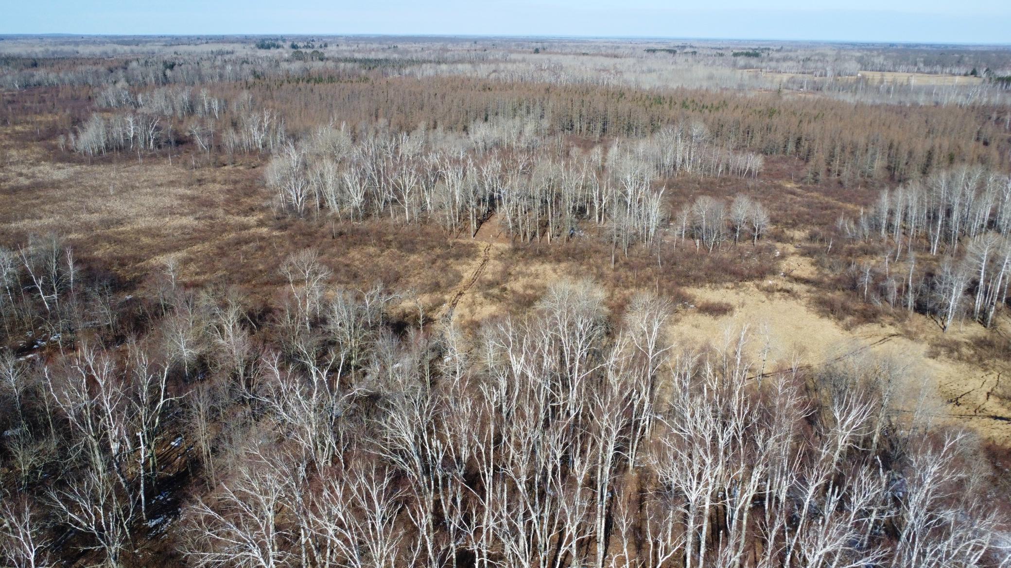 Tbd Happy Tree Lane Property Photo 17