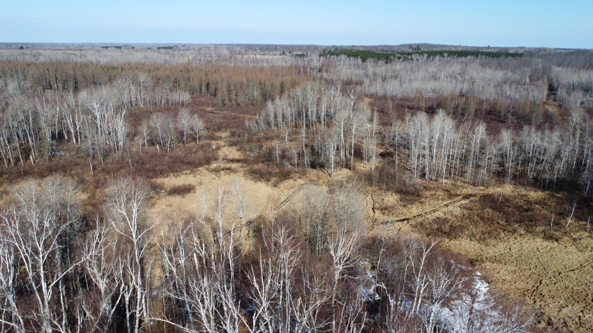 Tbd Happy Tree Lane Property Photo 18