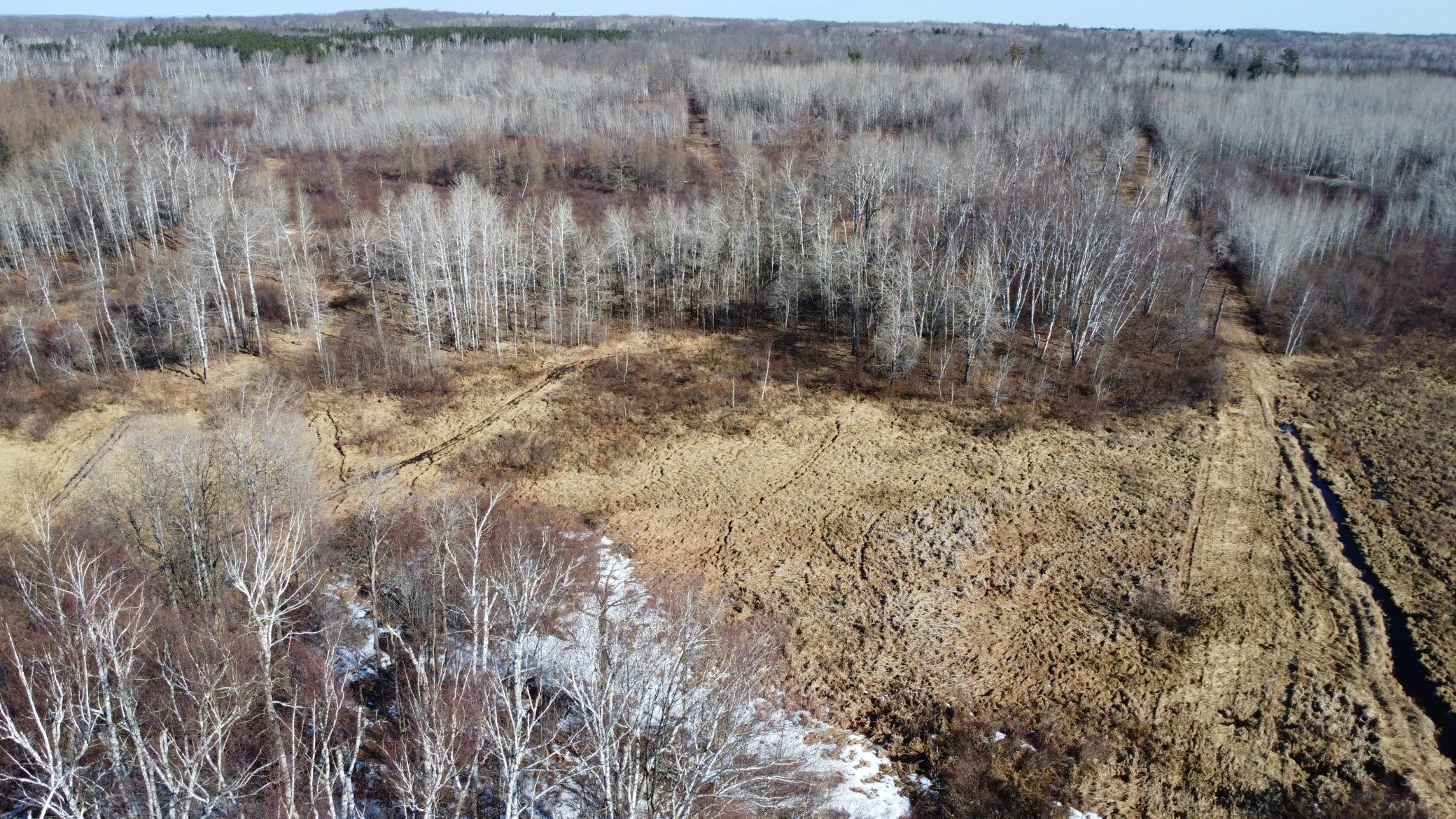 Tbd Happy Tree Lane Property Photo 19