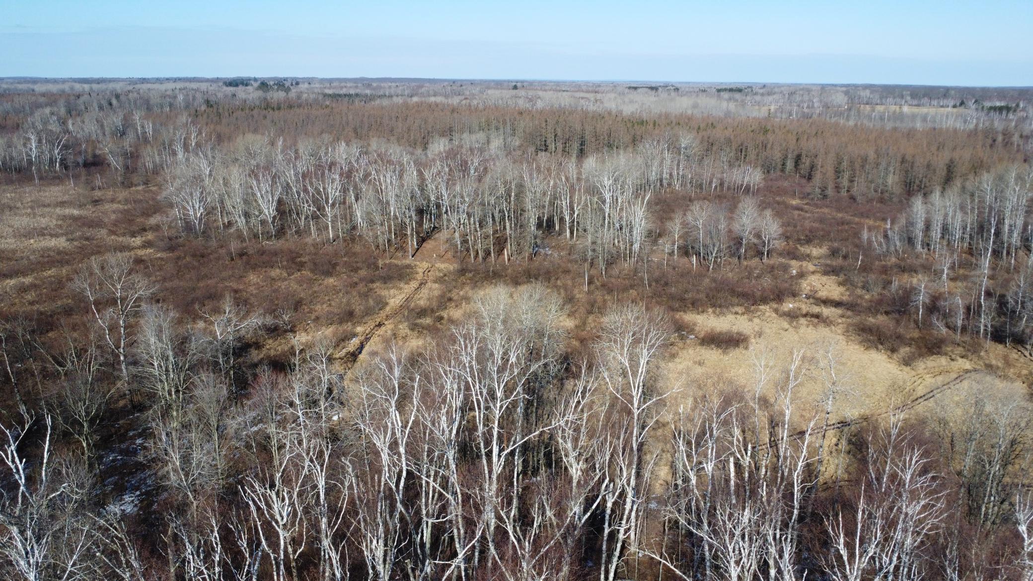 Tbd Happy Tree Lane Property Photo 20