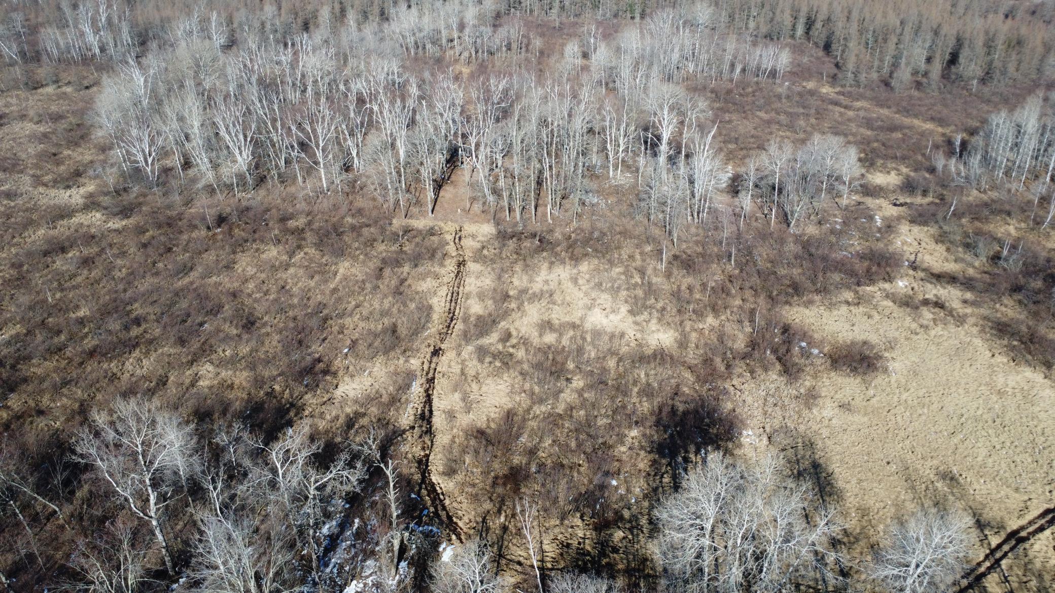 Tbd Happy Tree Lane Property Photo 29