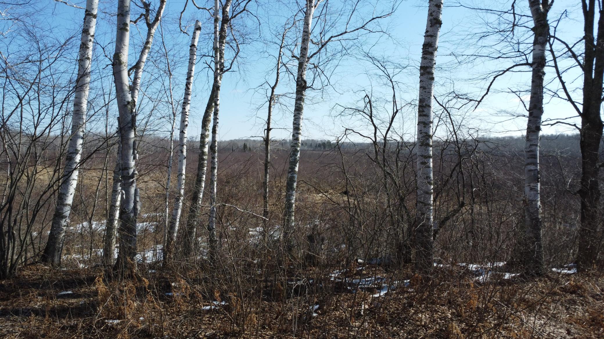 Tbd Happy Tree Lane Property Photo 30
