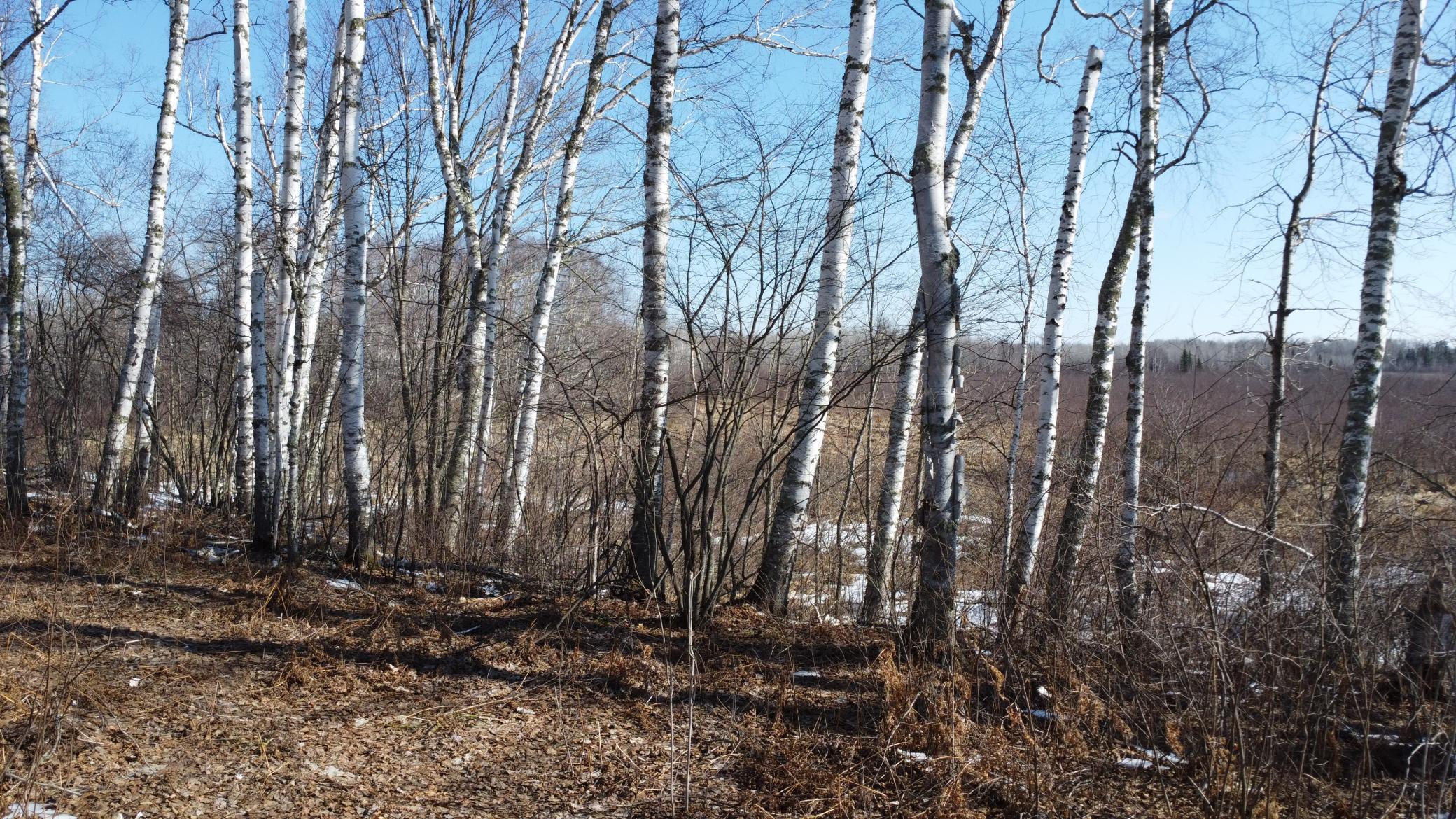 Tbd Happy Tree Lane Property Photo 31