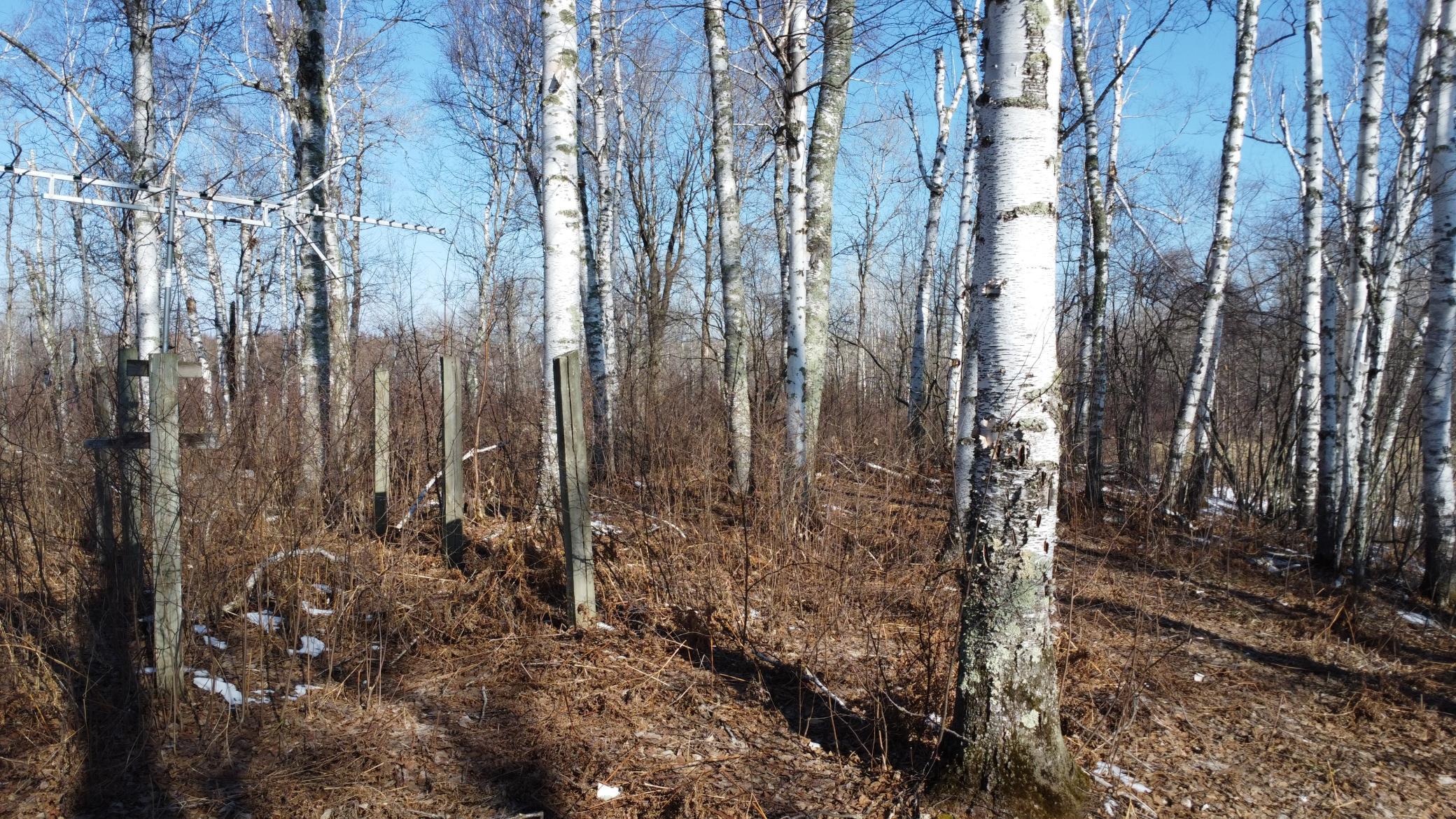 Tbd Happy Tree Lane Property Photo 32