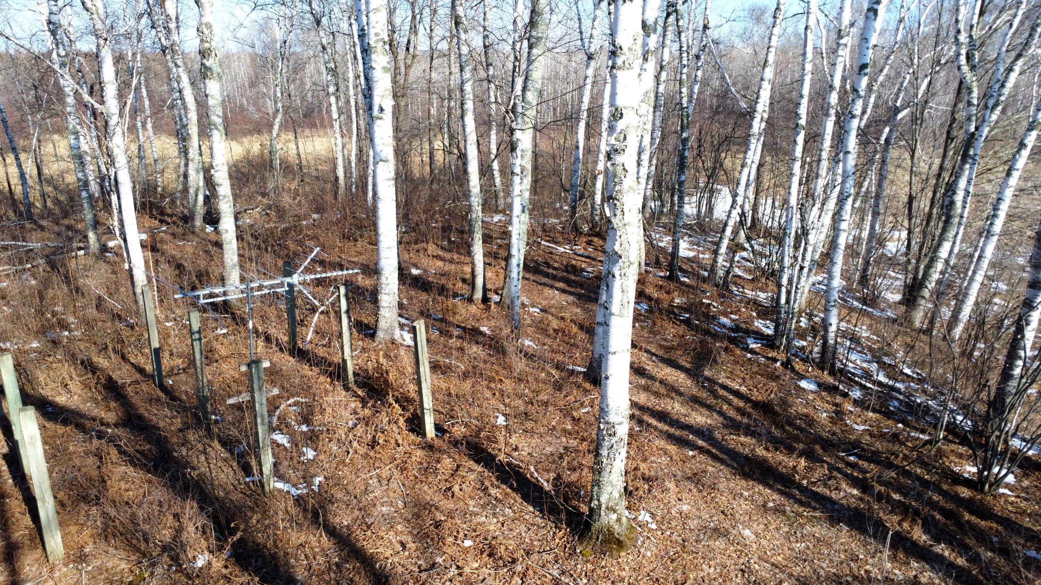 Tbd Happy Tree Lane Property Photo 33