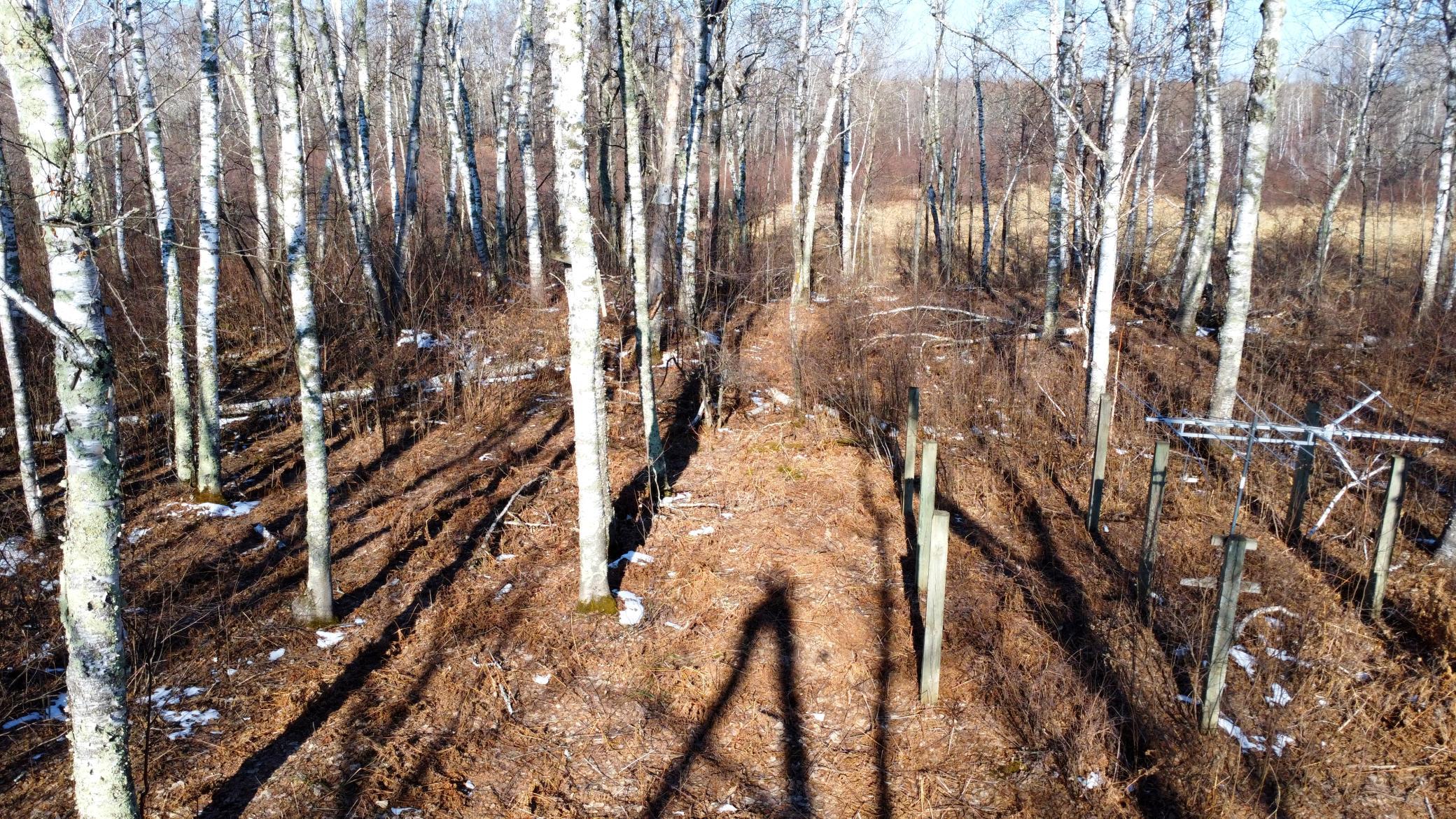 Tbd Happy Tree Lane Property Photo 35