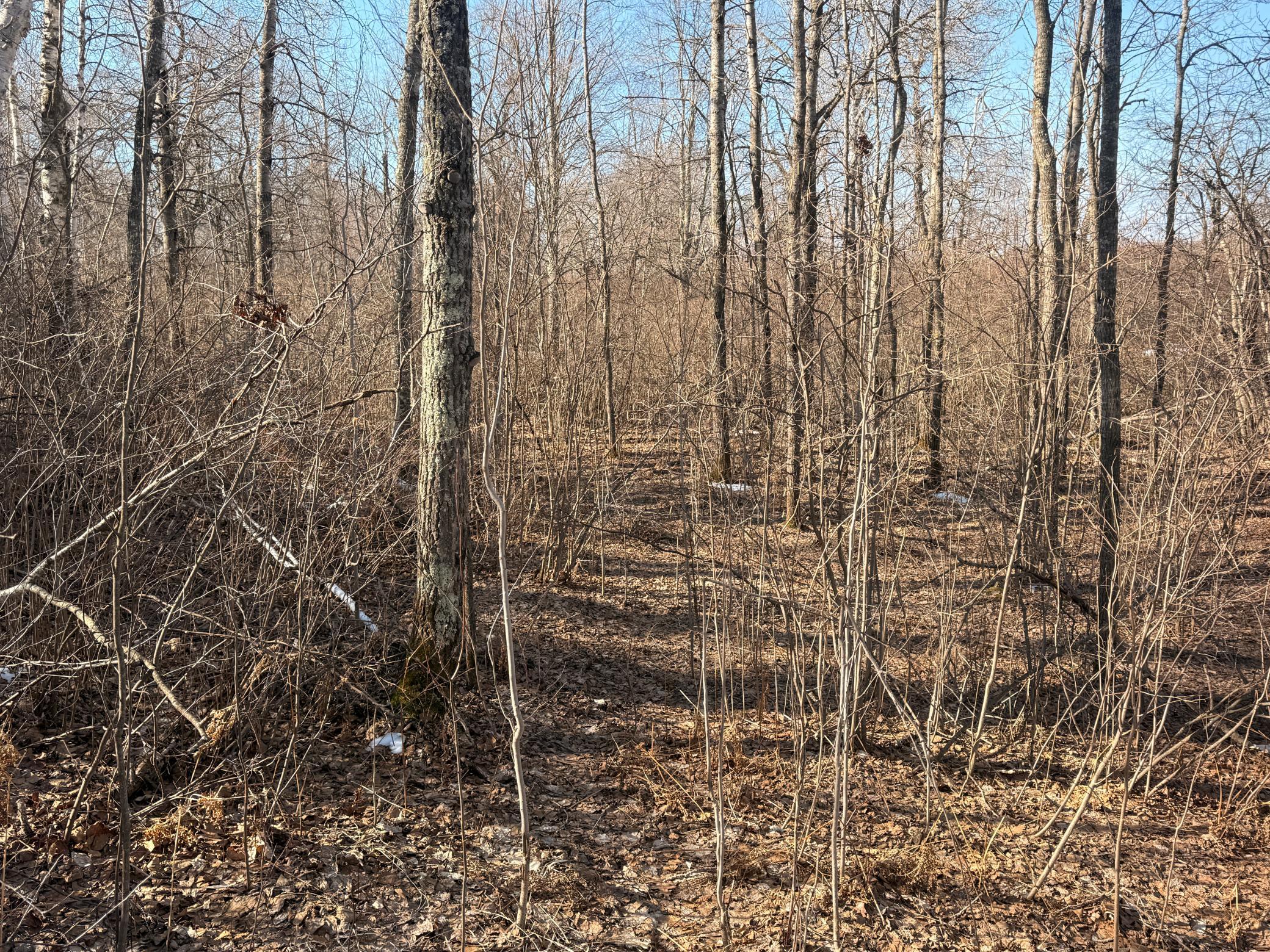 Tbd Happy Tree Lane Property Photo 36