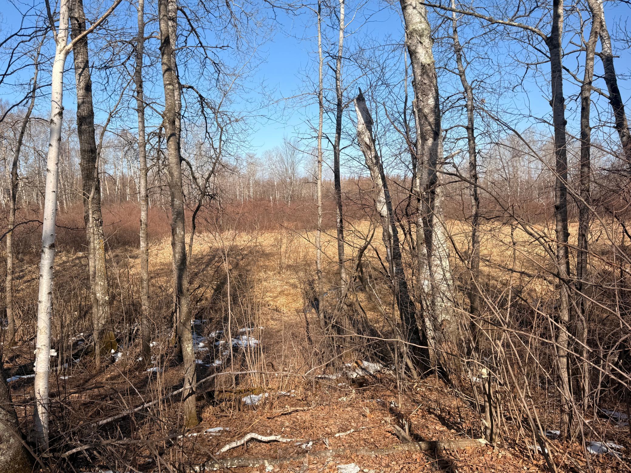 Tbd Happy Tree Lane Property Photo 37