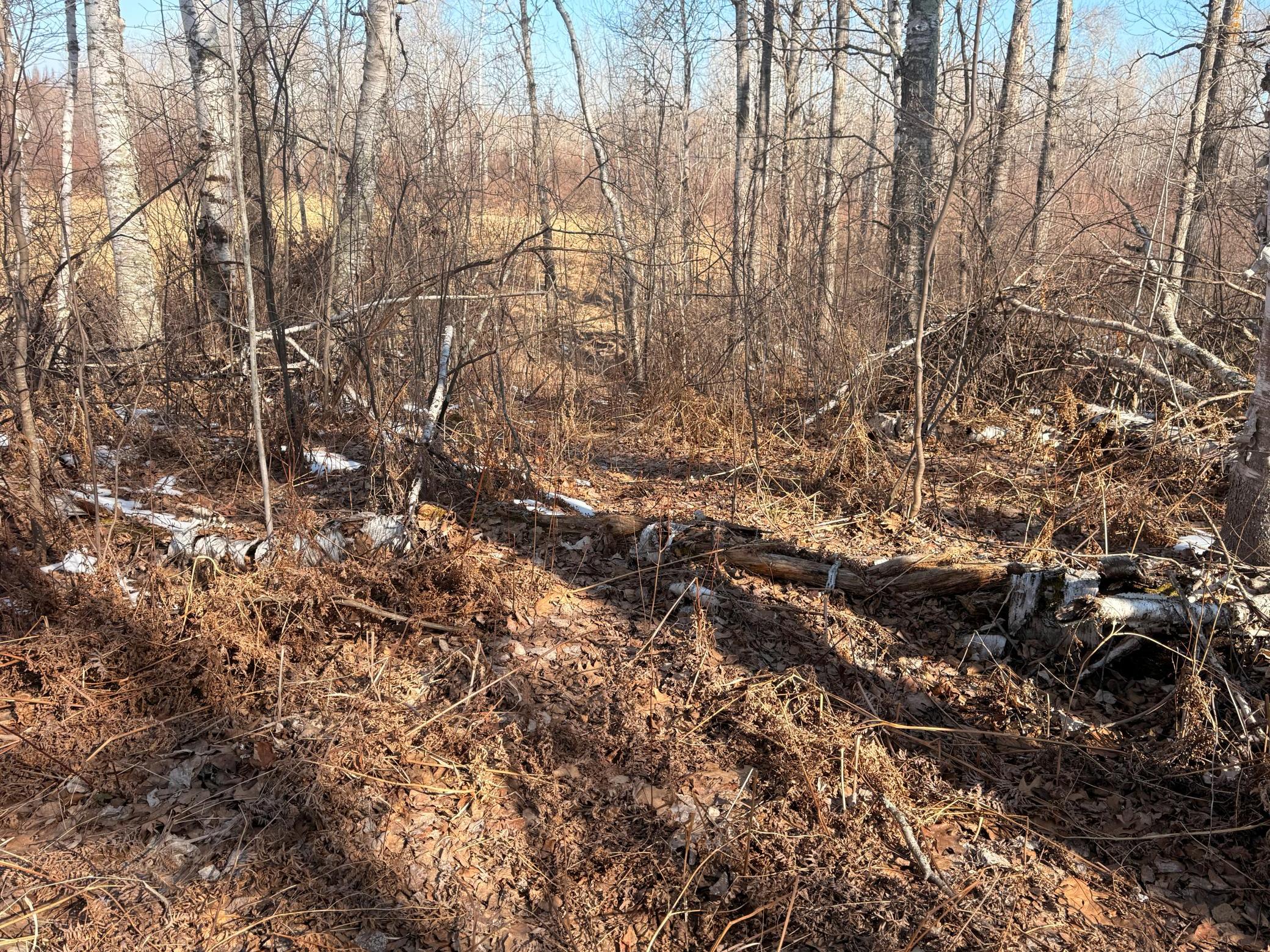 Tbd Happy Tree Lane Property Photo 38