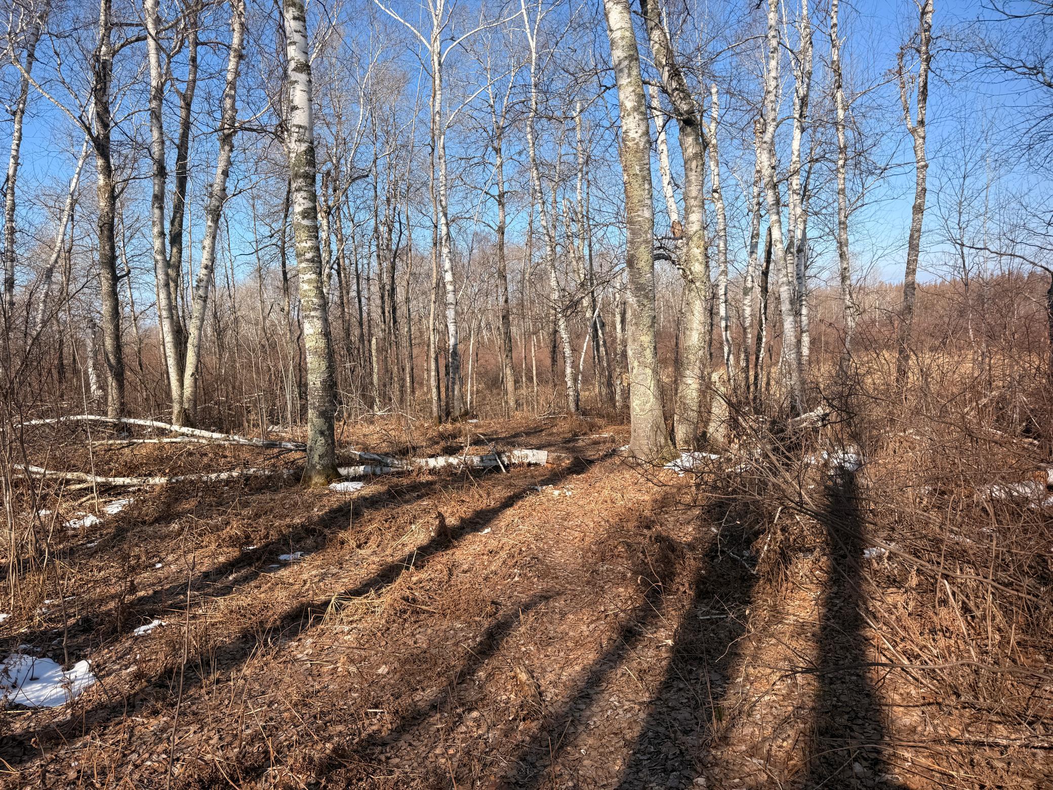 Tbd Happy Tree Lane Property Photo 39