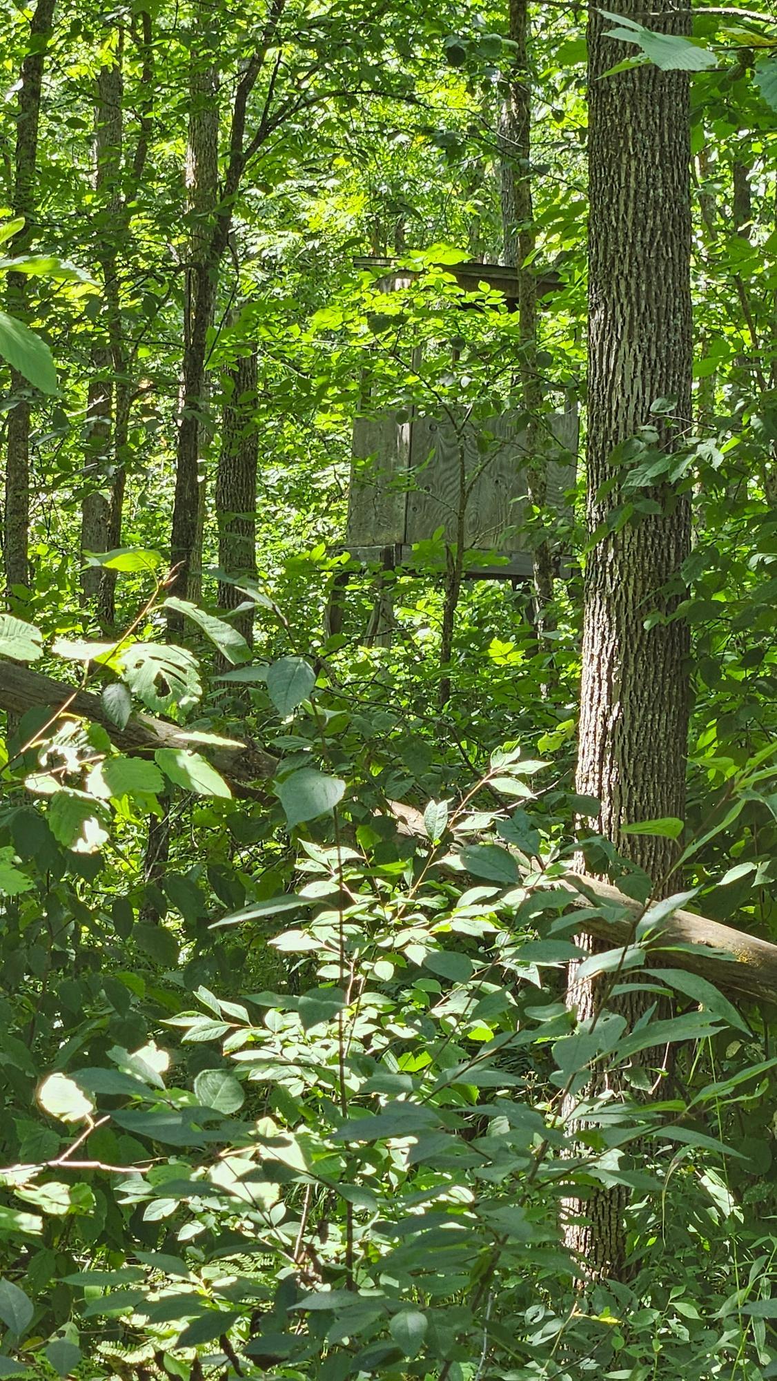 Tbd County Rd 1 Property Photo 10