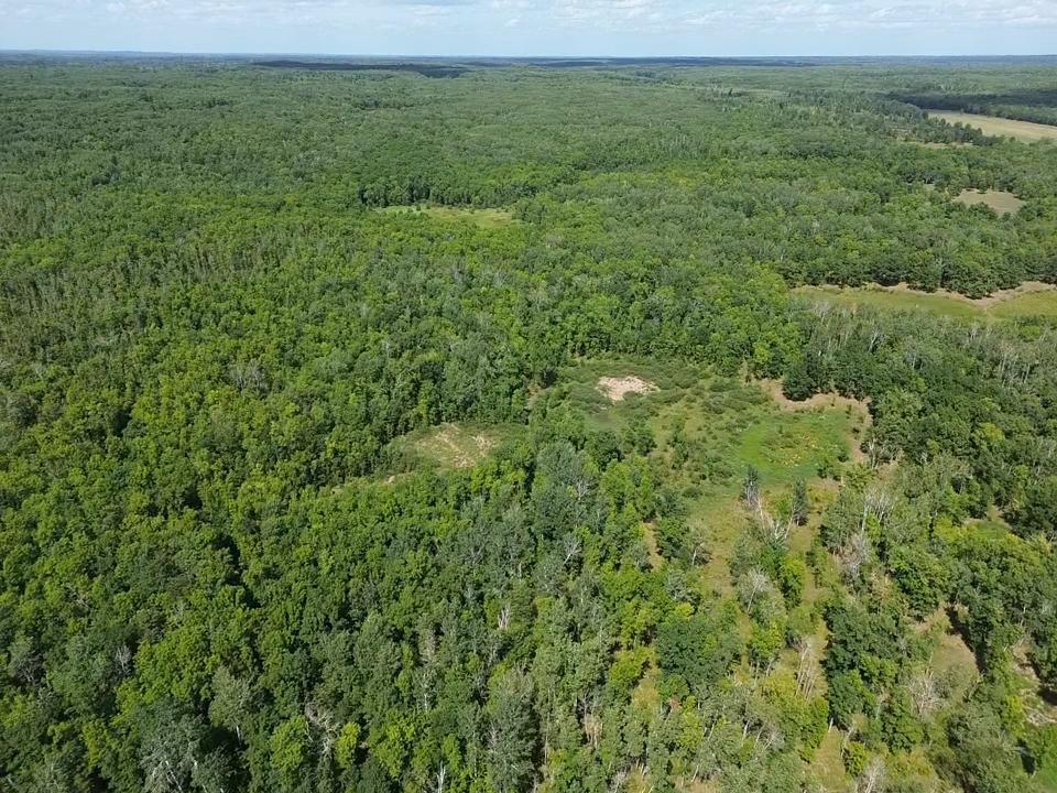 Tbd County Rd 1 Property Photo 11