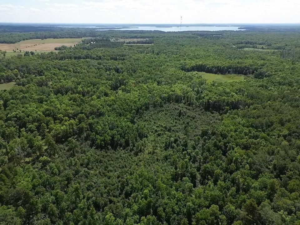 Tbd County Rd 1 Property Photo 12
