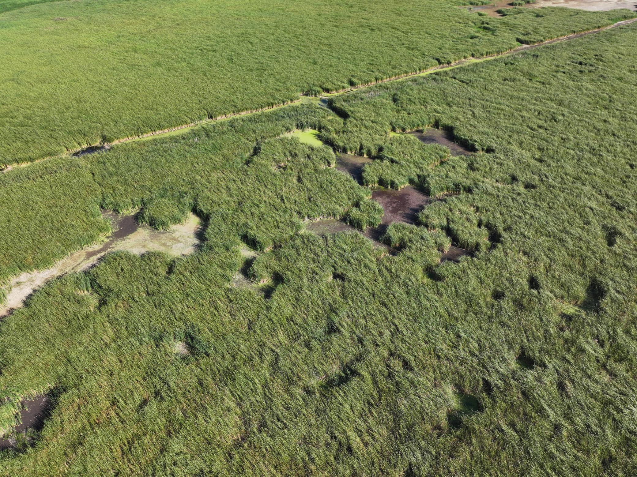 Tbd State Hwy 13 Property Photo 17
