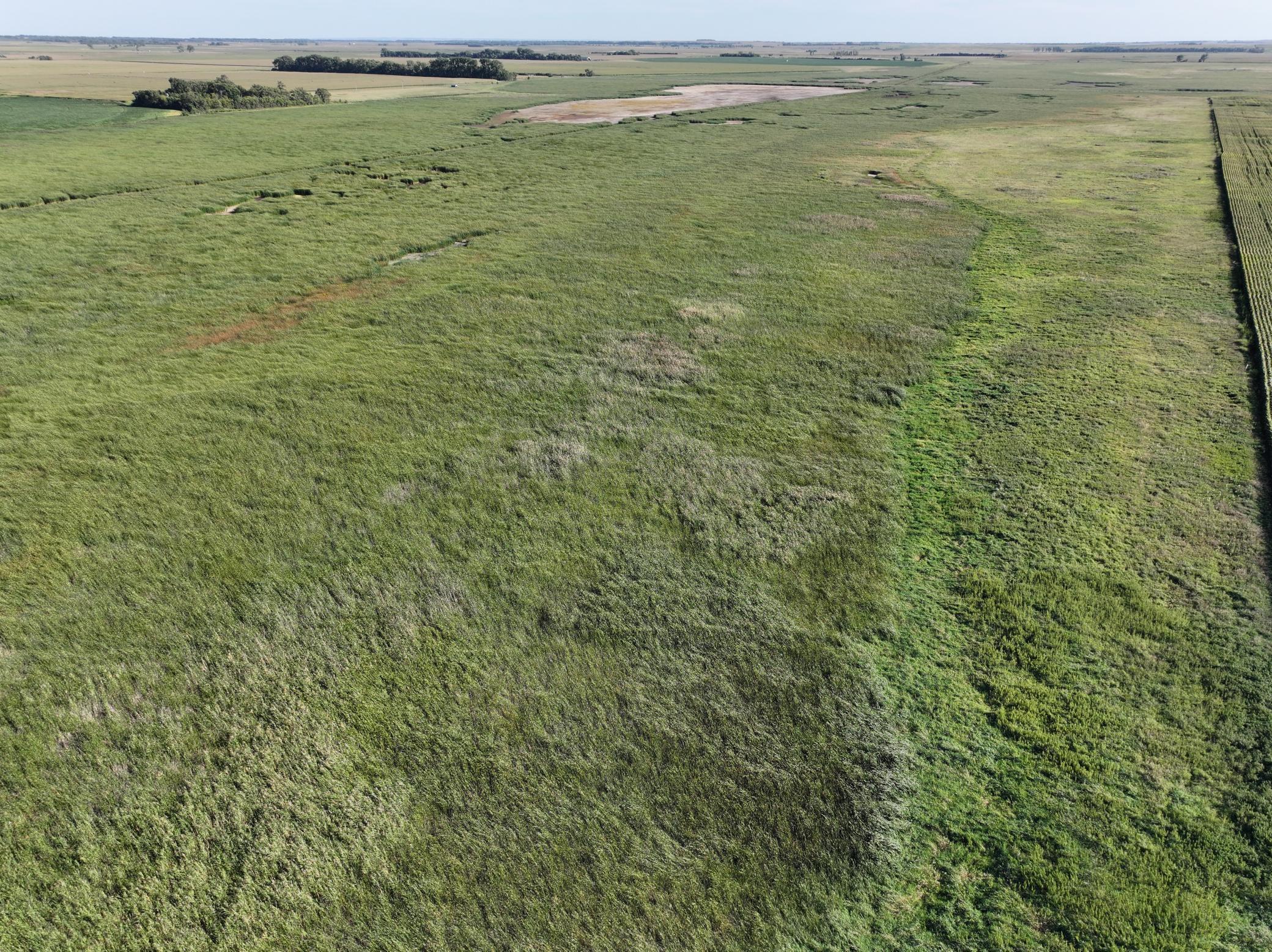 Tbd State Hwy 13 Property Photo 19