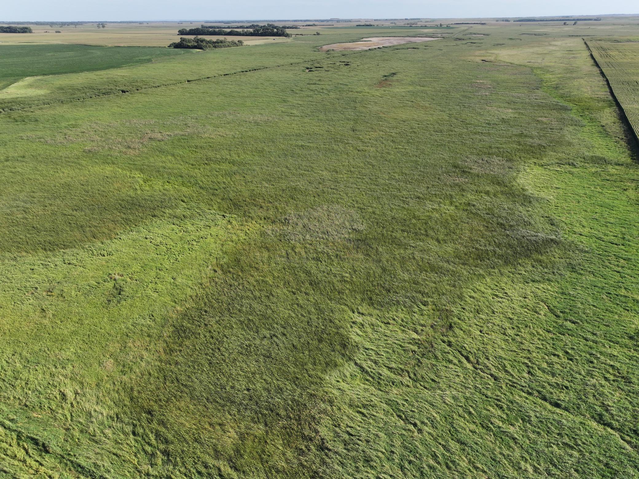 Tbd State Hwy 13 Property Photo 21