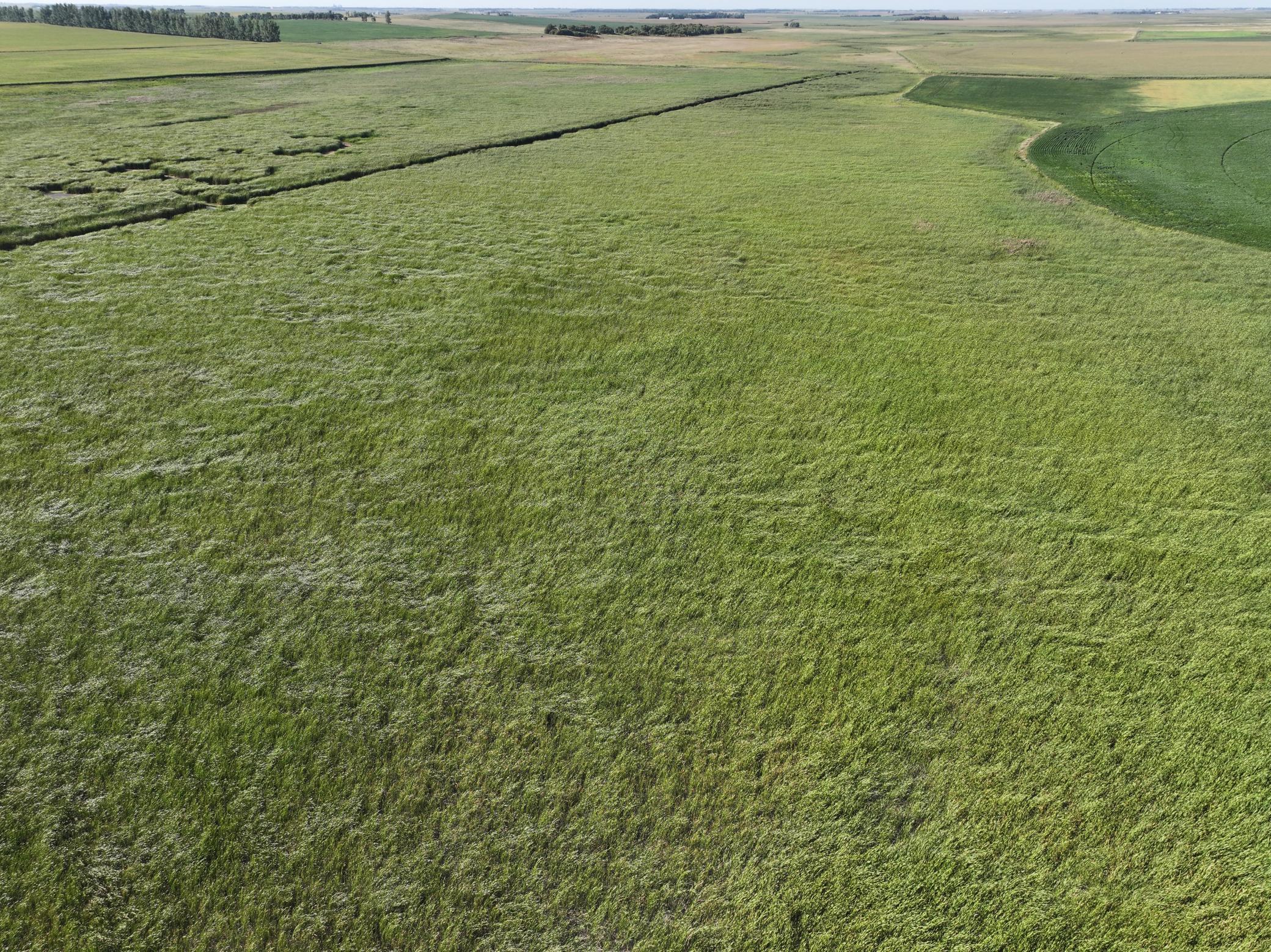 Tbd State Hwy 13 Property Photo 26