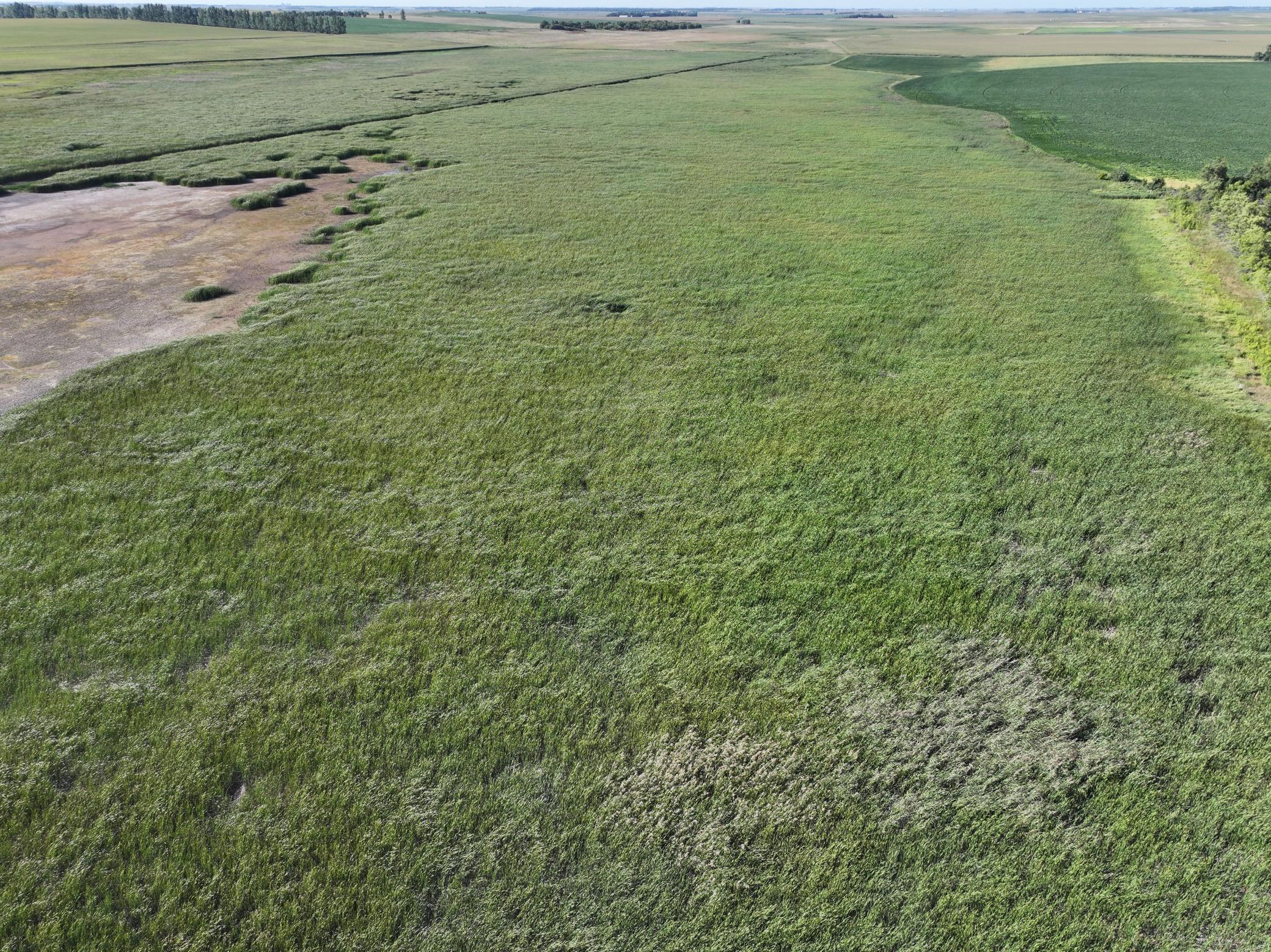 Tbd State Hwy 13 Property Photo 27