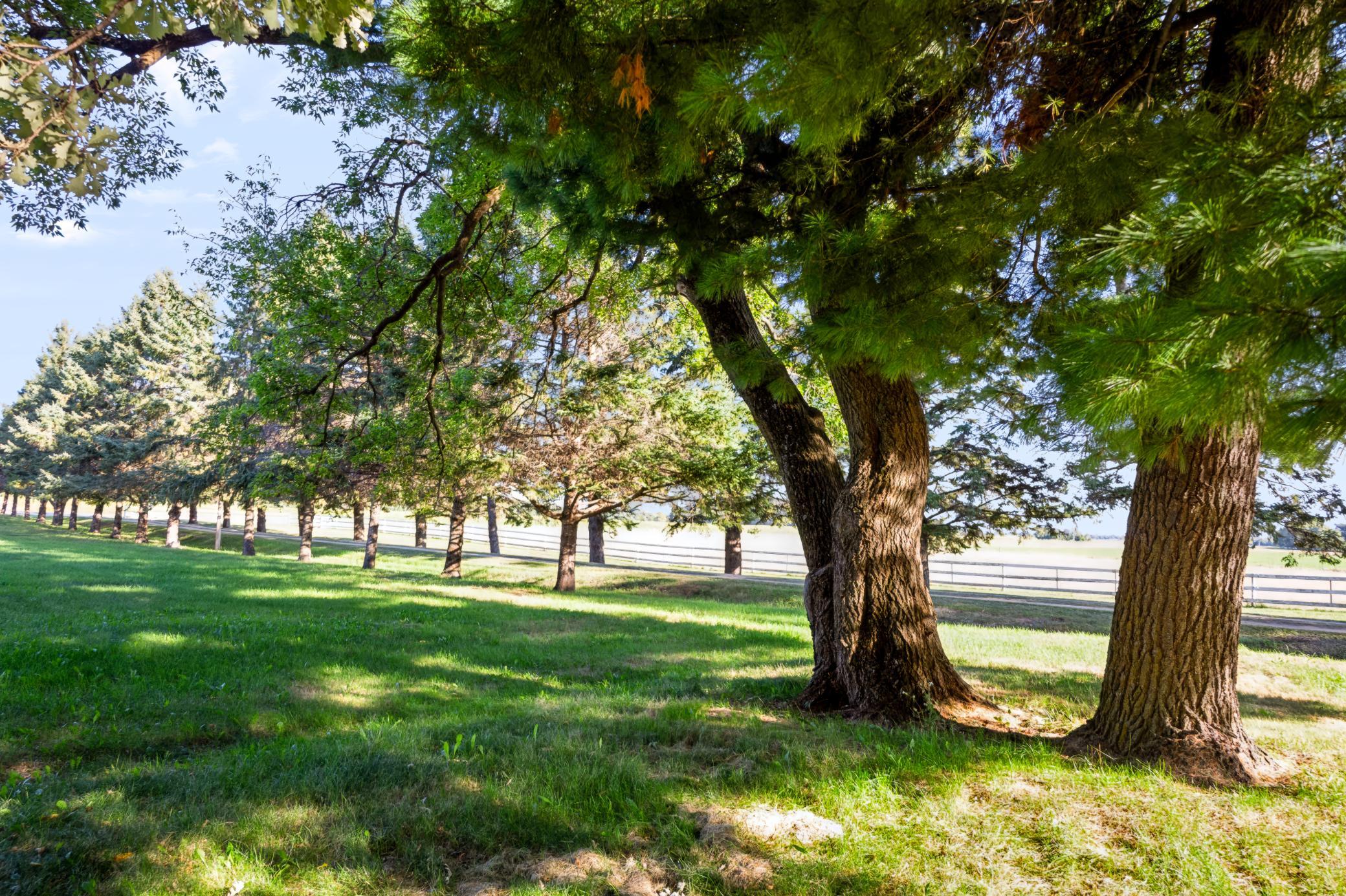 29201 County Highway 75 Property Photo 16