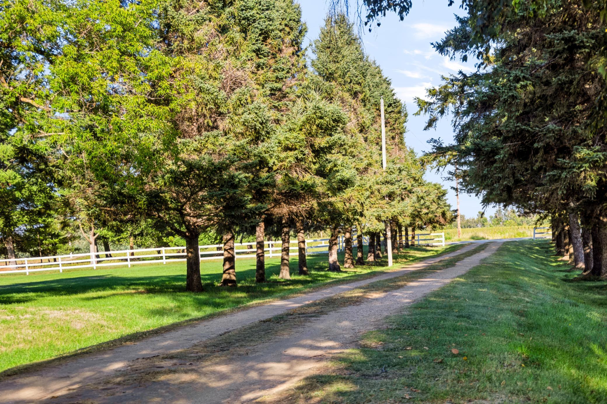 29201 County Highway 75 Property Photo 74