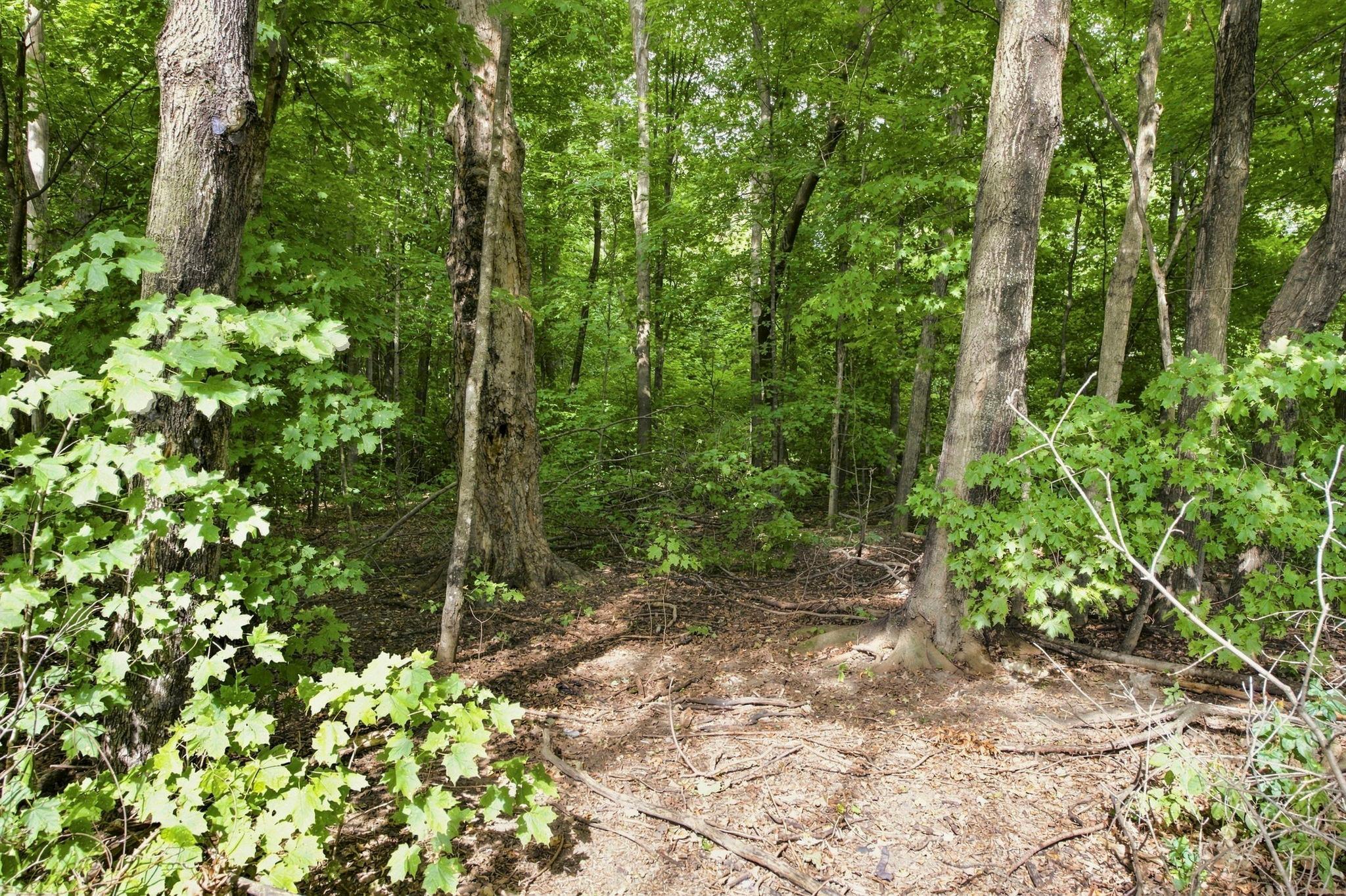 2079 Wi-35 Property Photo 31