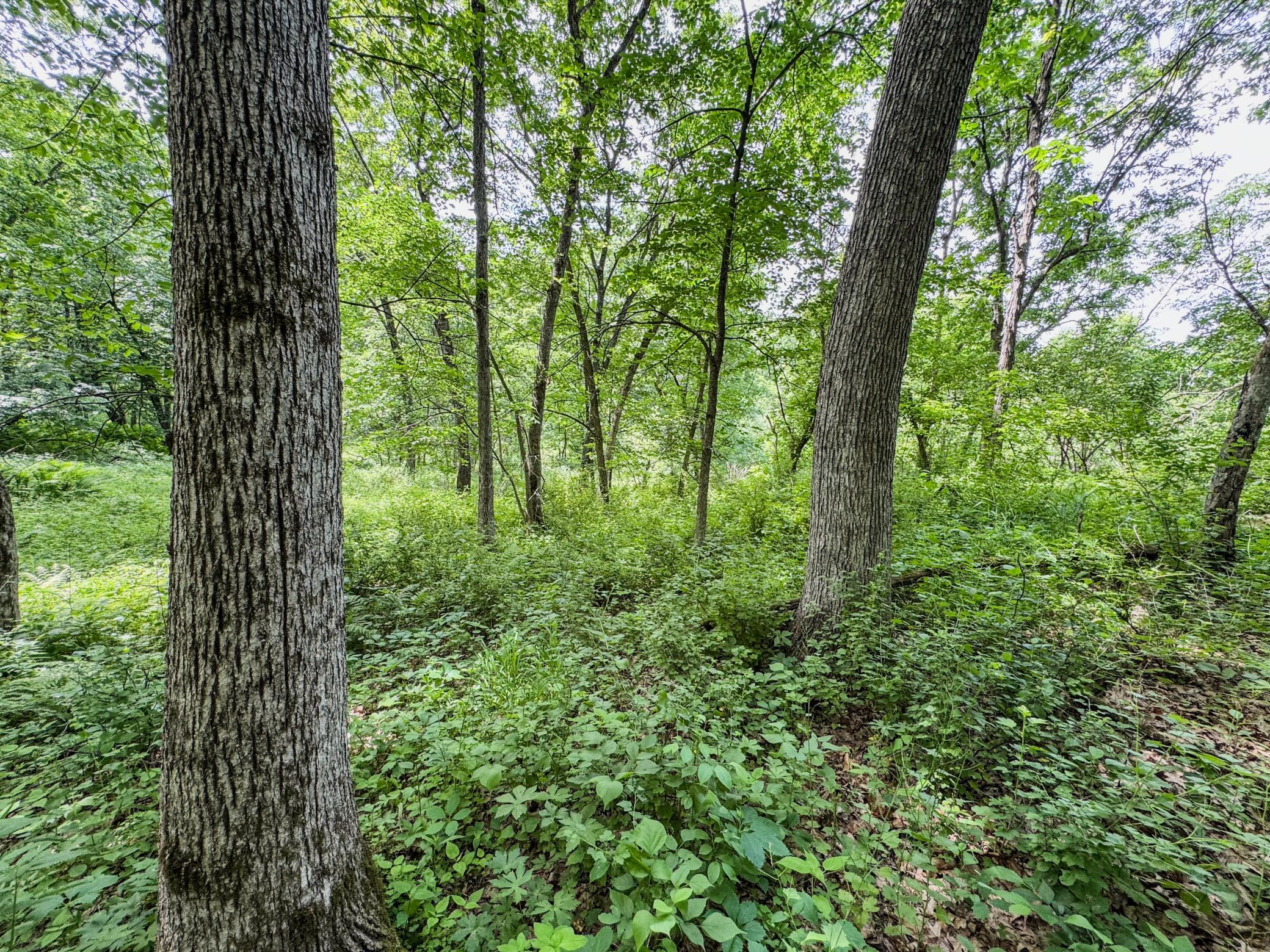00 Dopp Property Photo 16