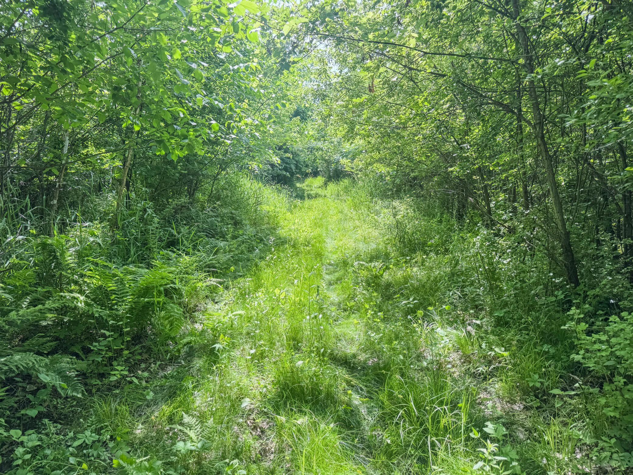 00 Dopp Property Photo 22