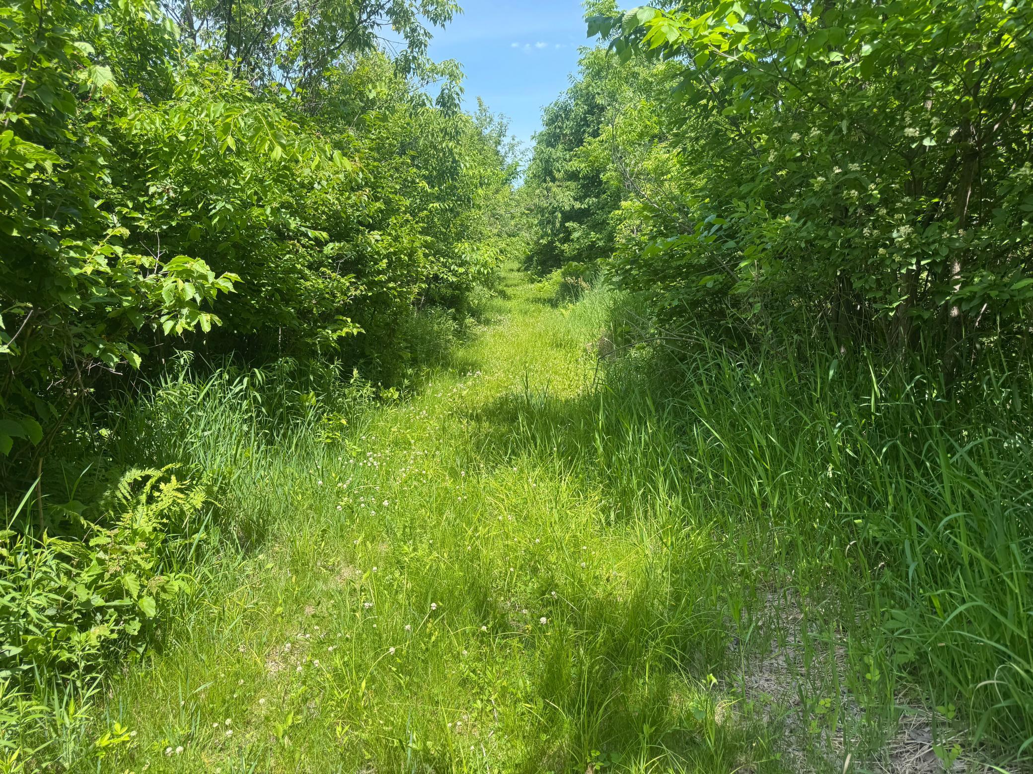 00 Dopp Property Photo 26
