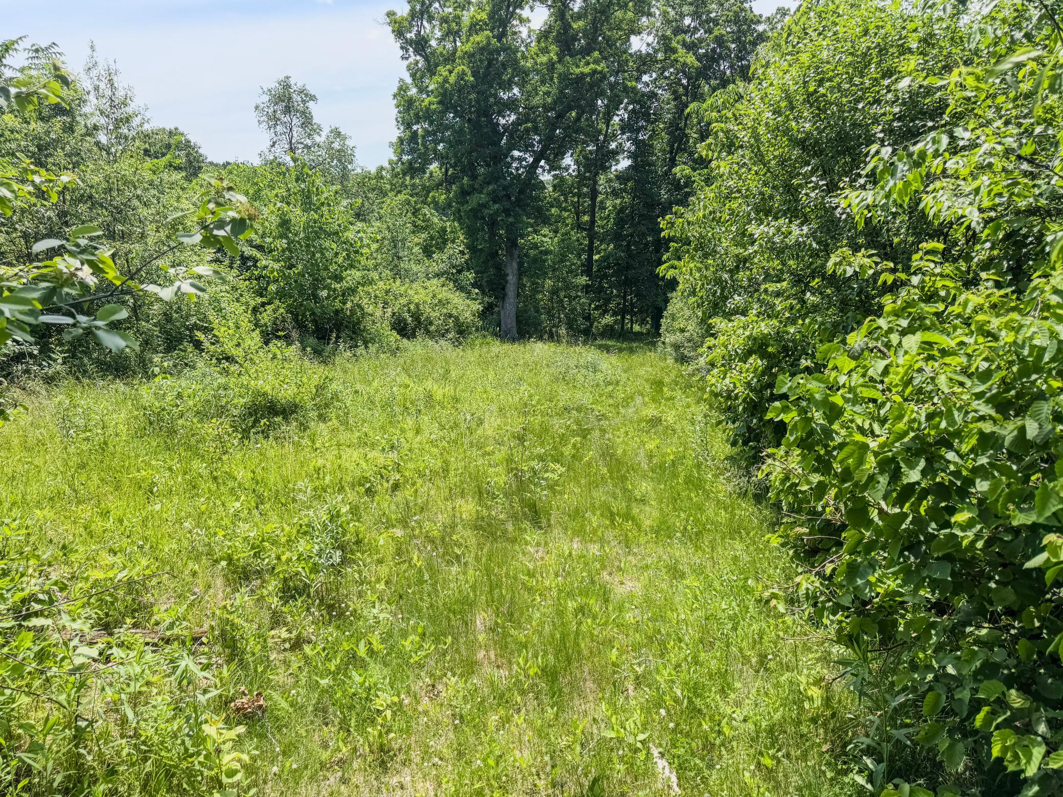 00 Dopp Property Photo 28