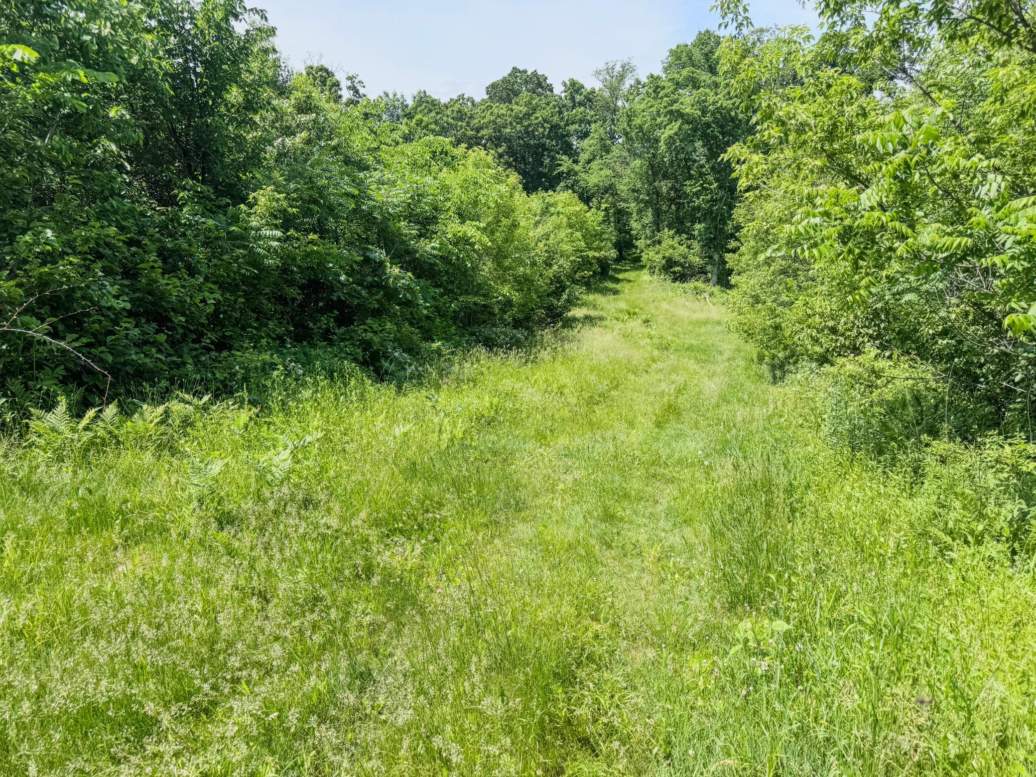 00 Dopp Property Photo 31