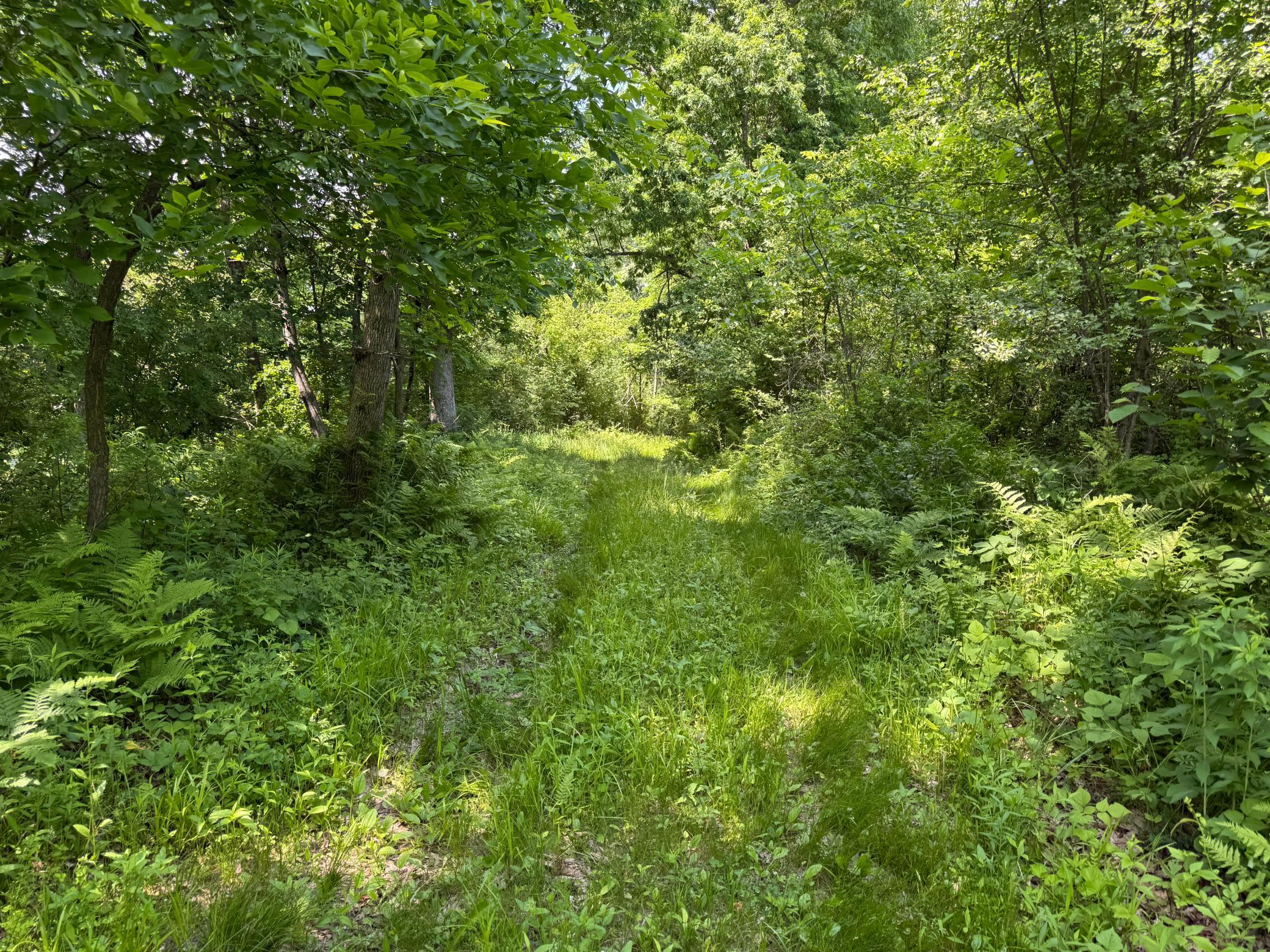00 Dopp Property Photo 32